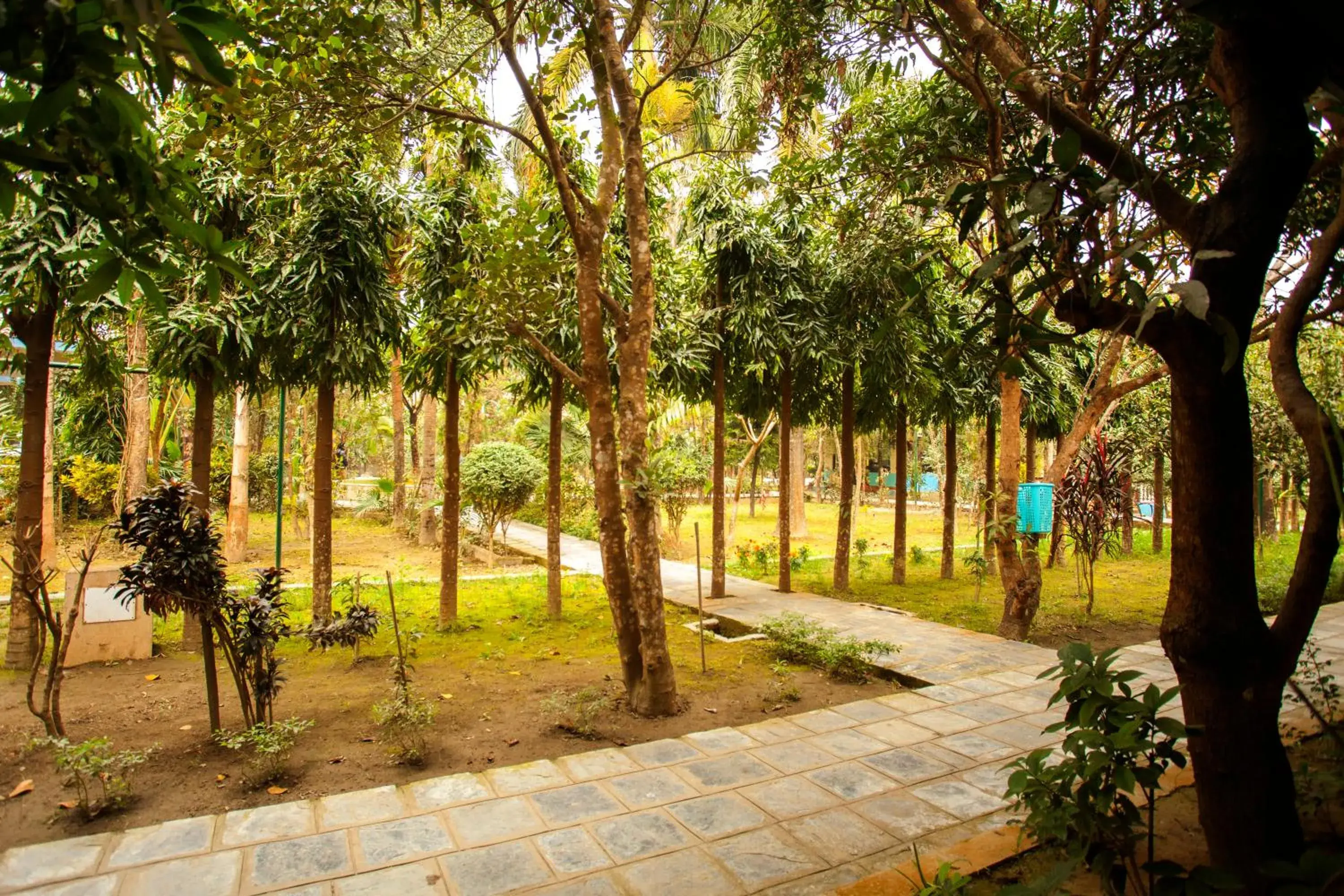 View (from property/room) in Jungle Safari Resort View (from property/room) in Jungle Safari Resort