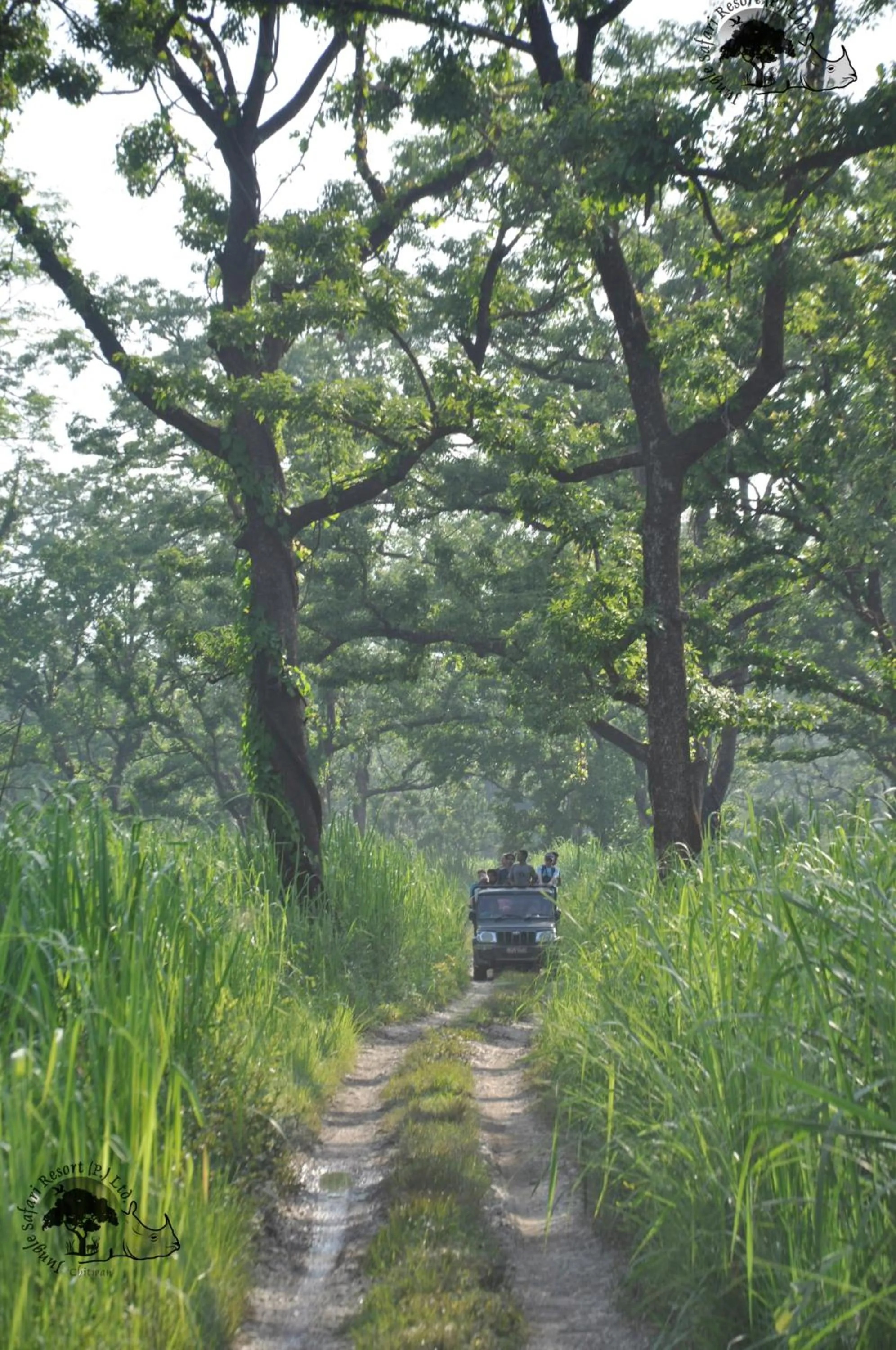Entertainment in Jungle Safari Resort