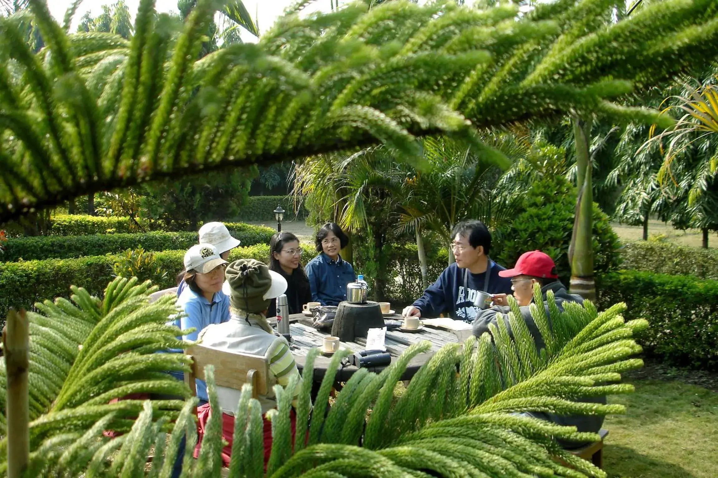 Restaurant/places to eat in Jungle Safari Resort Restaurant/places to eat in Jungle Safari Resort