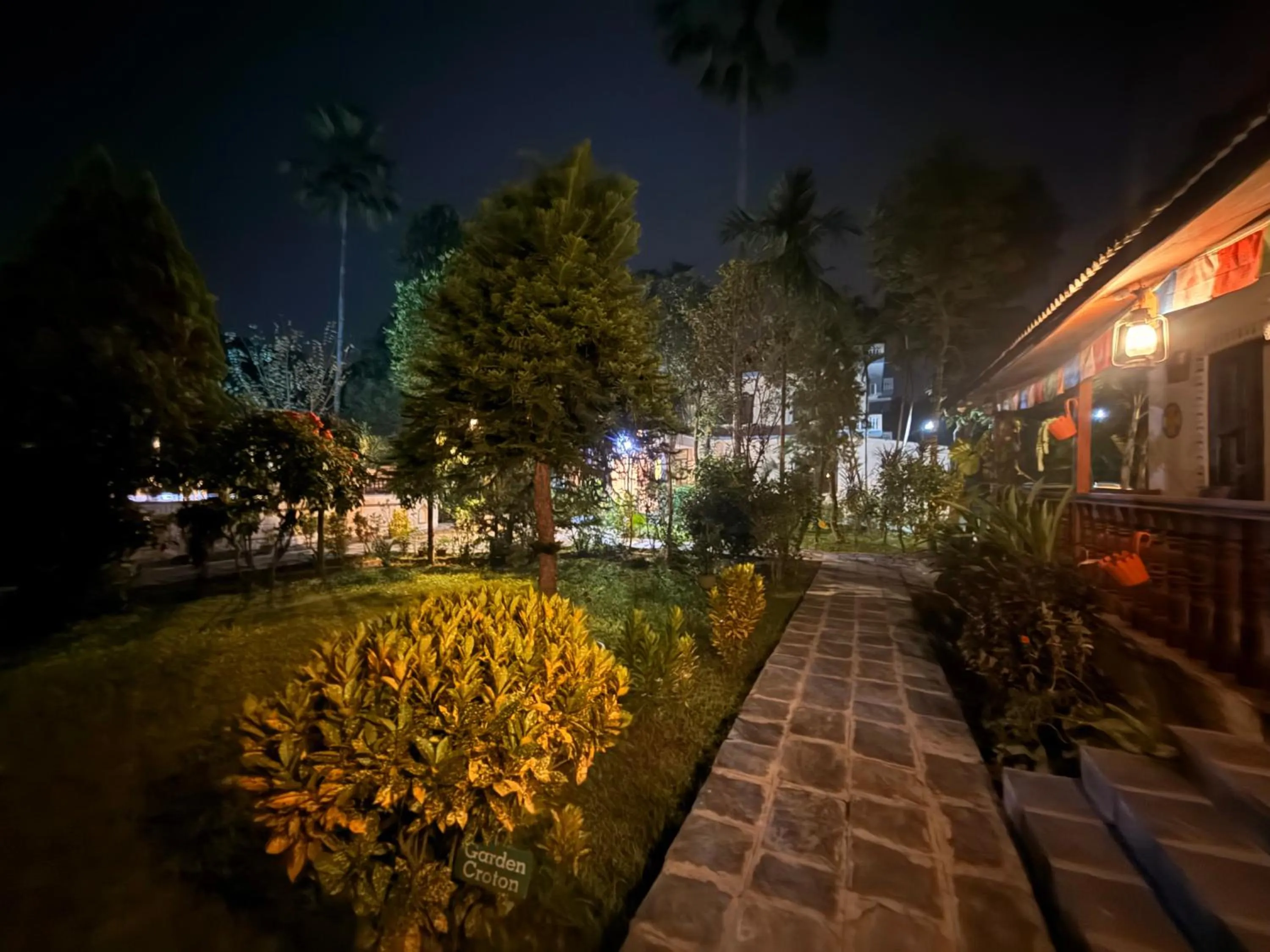 Night in Jungle Safari Resort