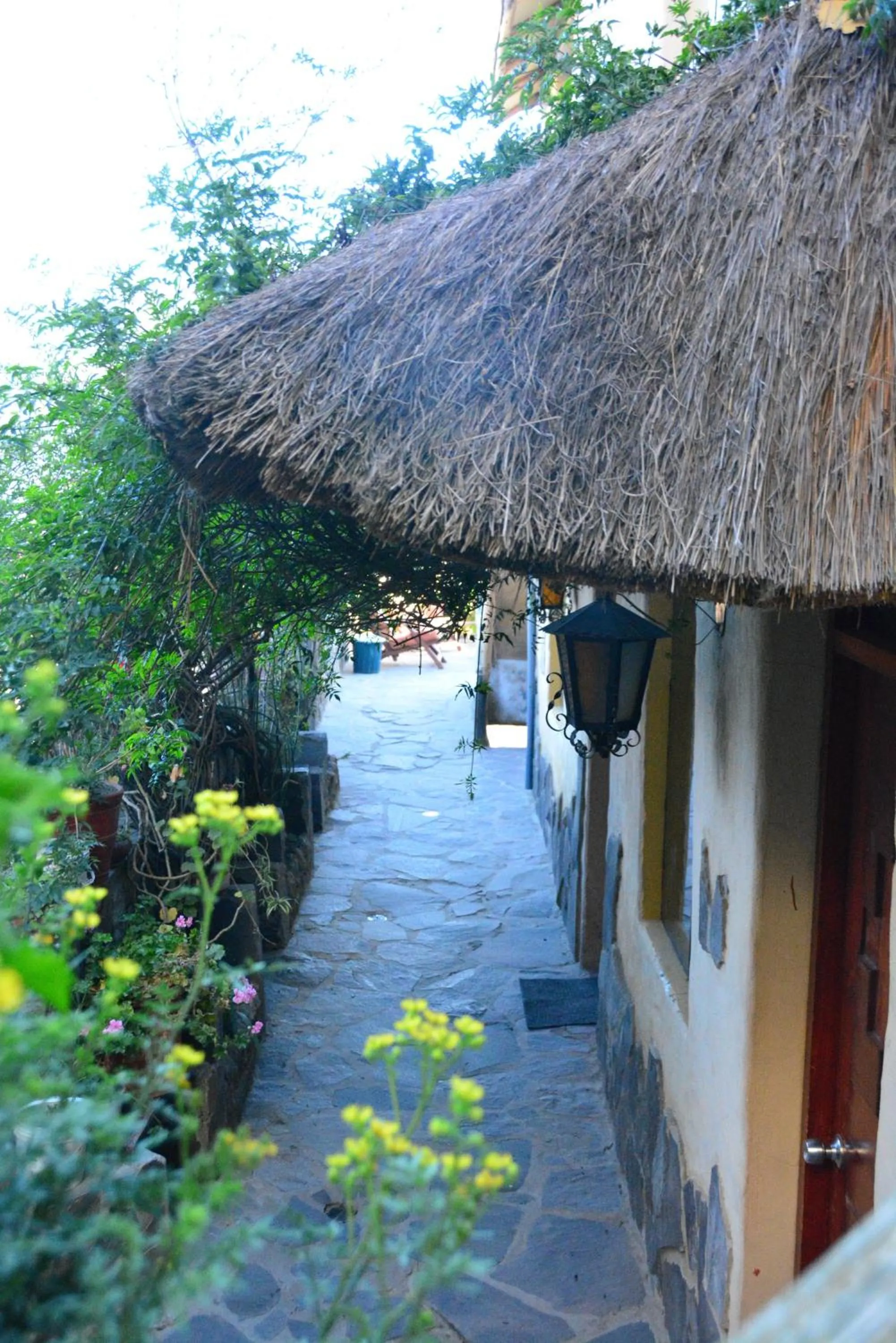 Patio in Hotel Kuntur Wassi