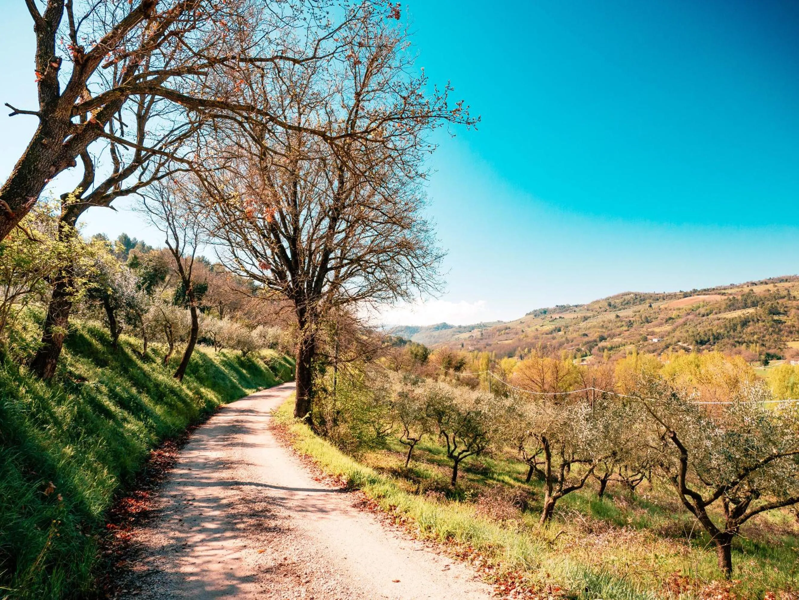 Spring in Ostello Bello Assisi Bevagna