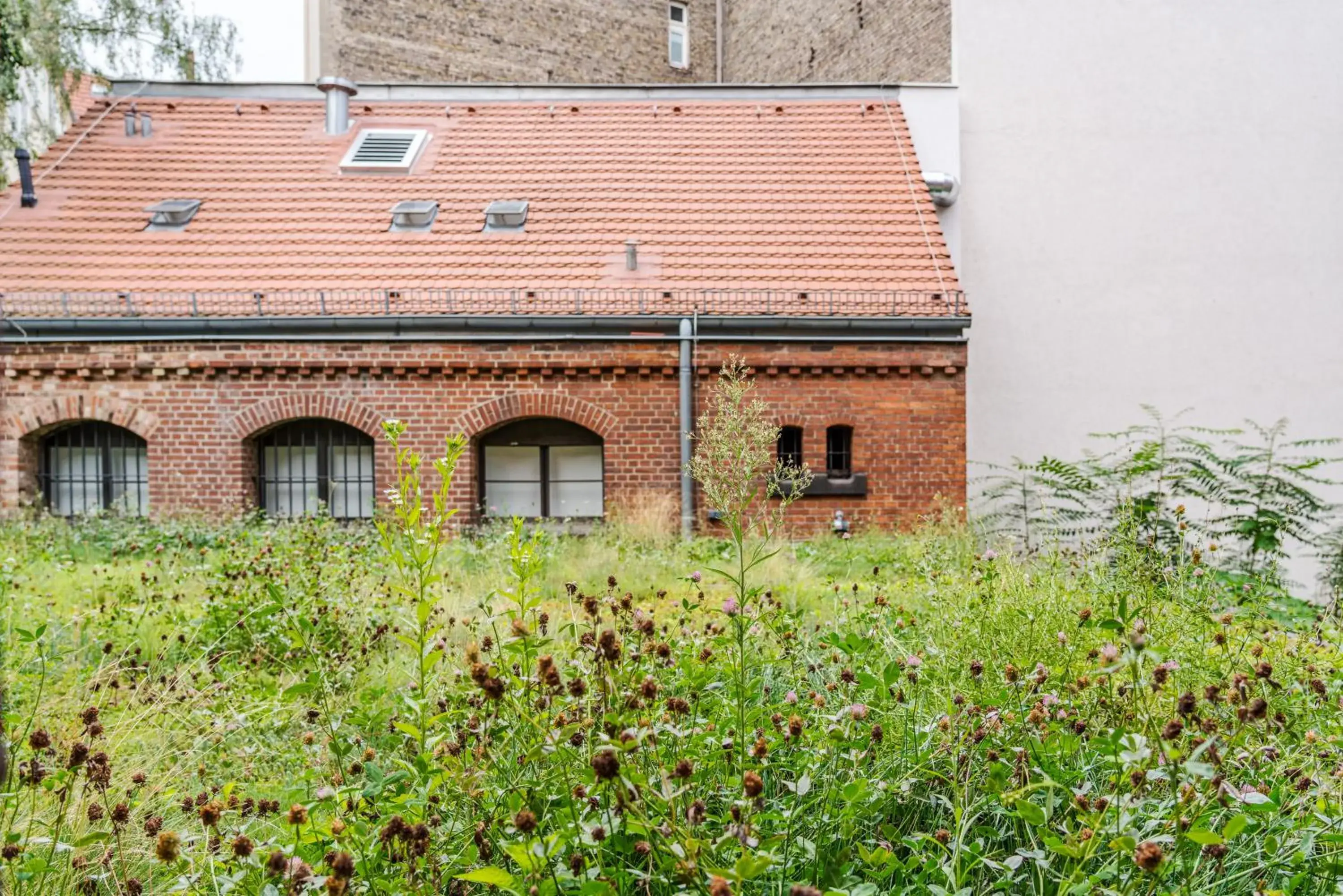 Garden view in Wilmina Hotel Garden view in Wilmina Hotel