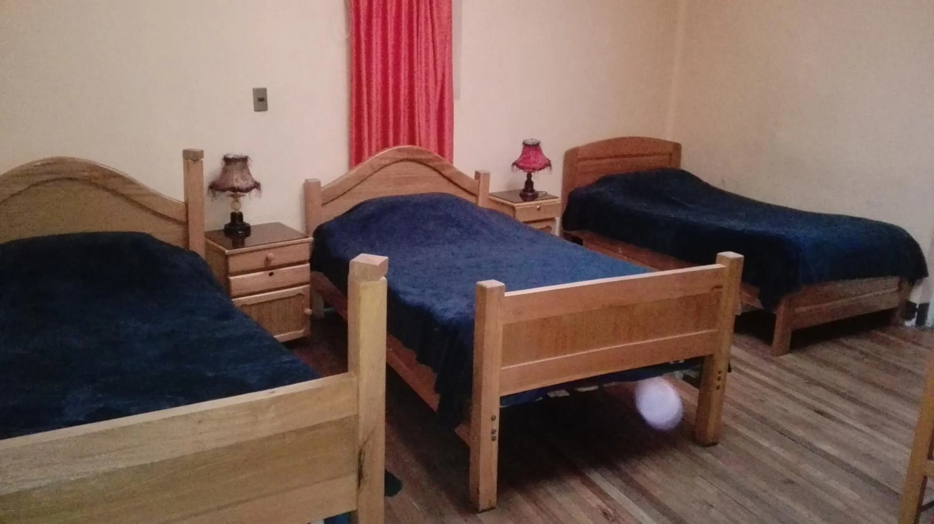 Single Bed in Mixed Dormitory Room in Hostal Isidoros - Terminal de Buses