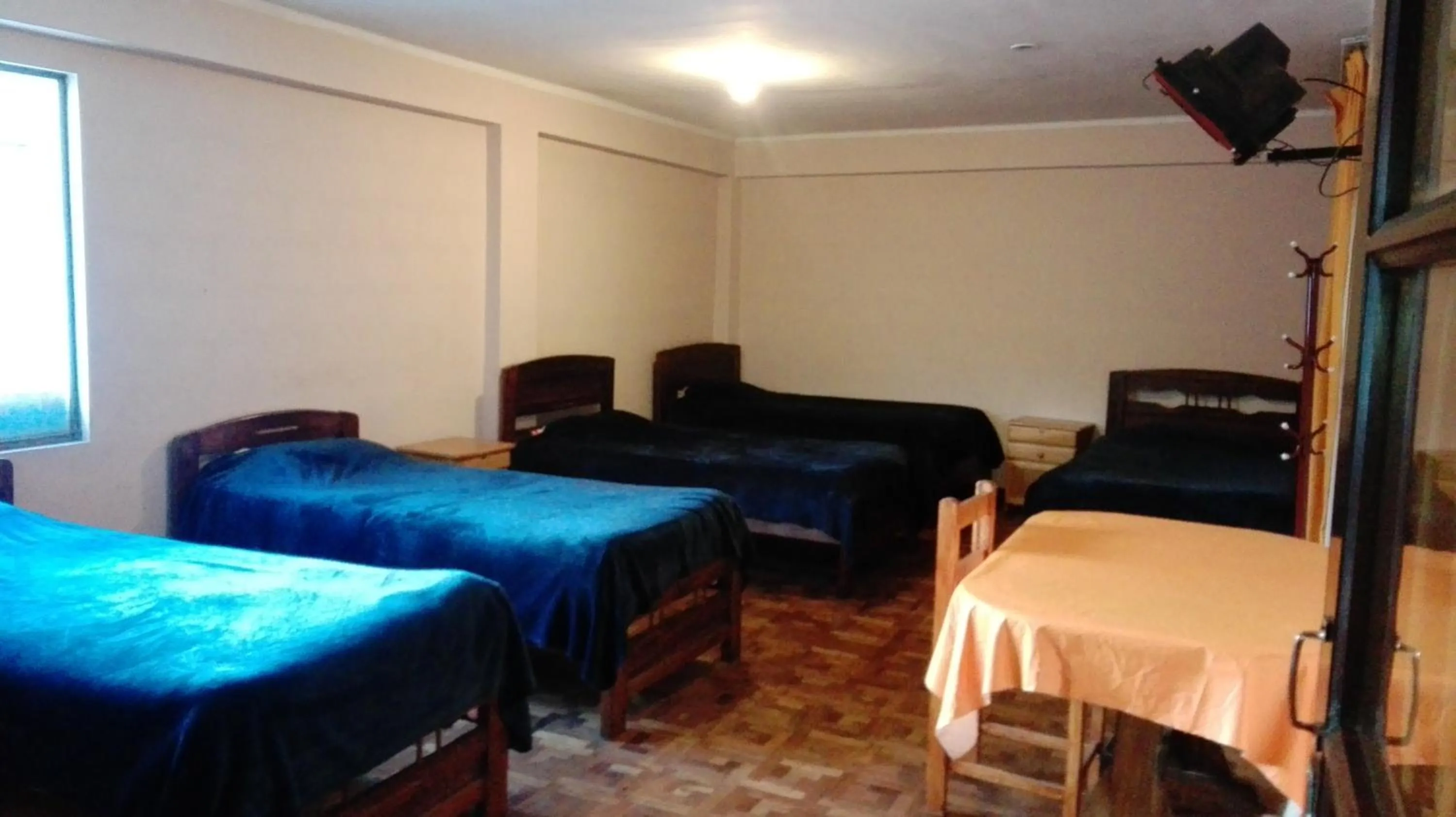 Single Bed in Female Dormitory Room in Hostal Isidoros - Terminal de Buses
