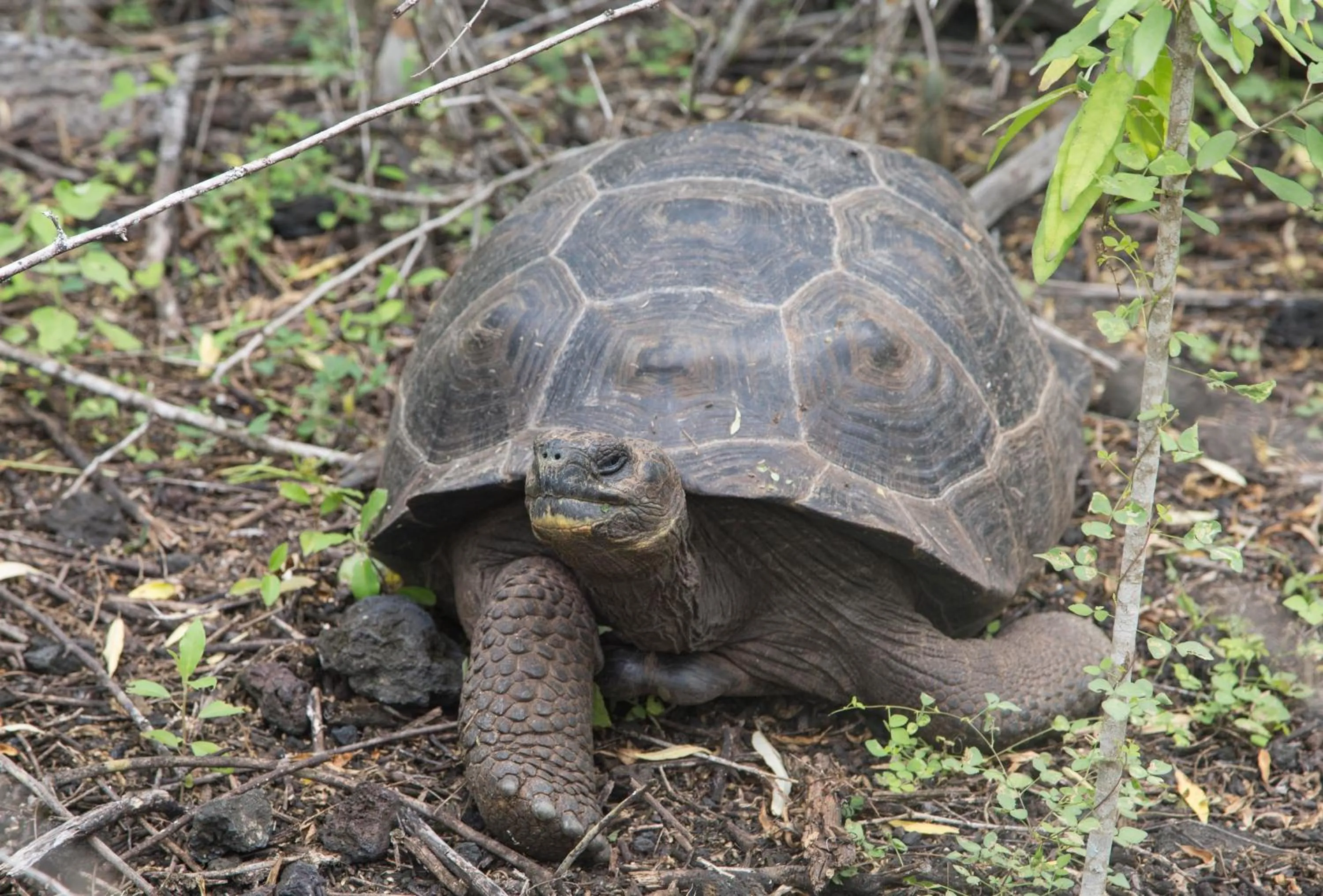Activities in Paraiso de Isabela