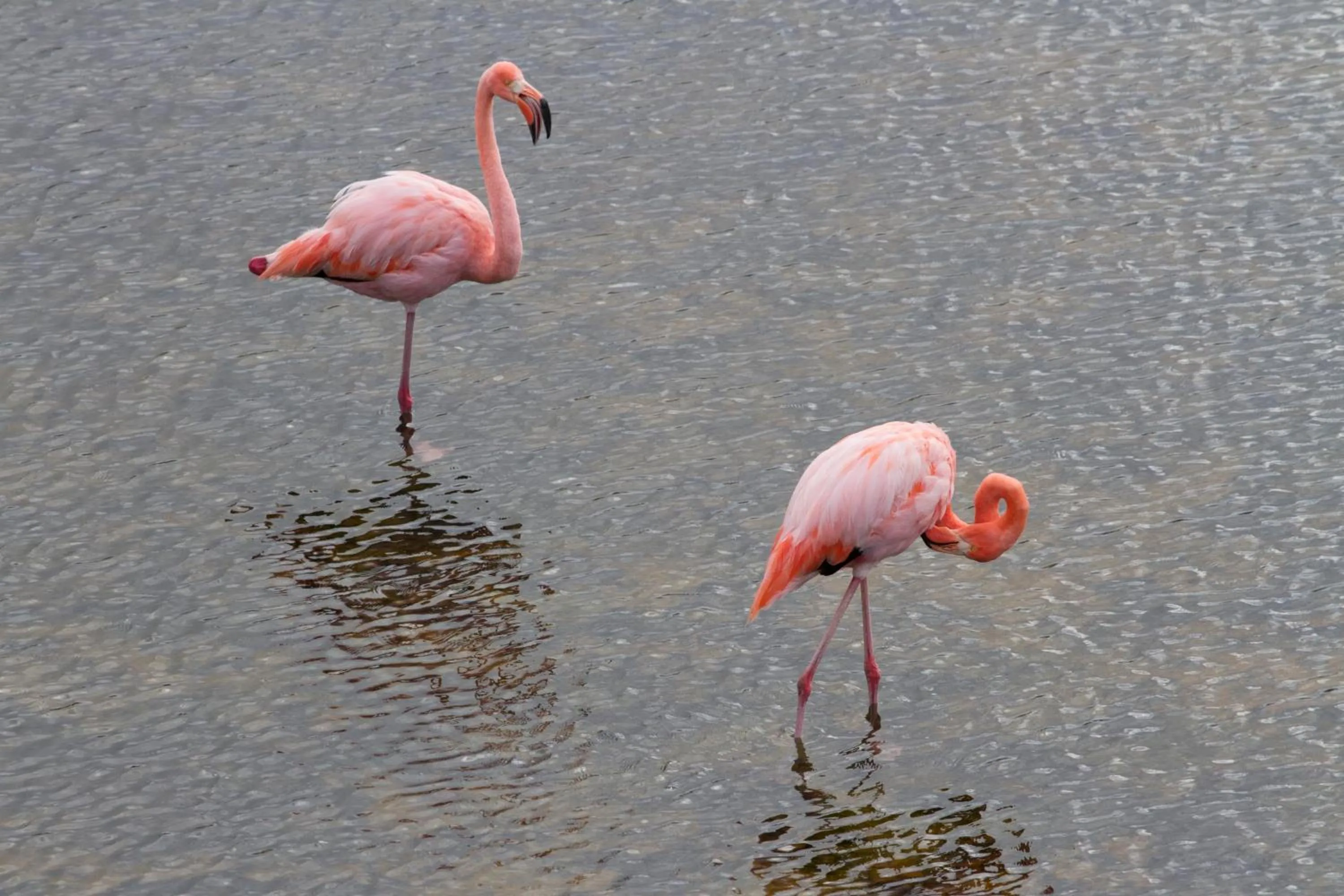 Nearby landmark in Paraiso de Isabela