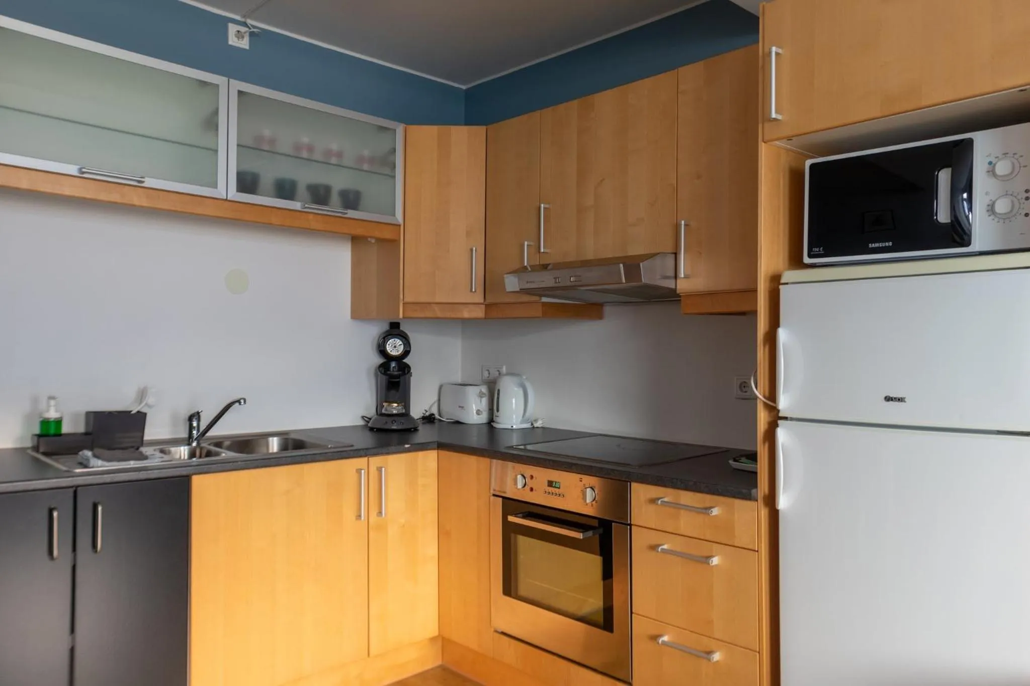 Kitchen or kitchenette in Hildibrand Apartment Hotel