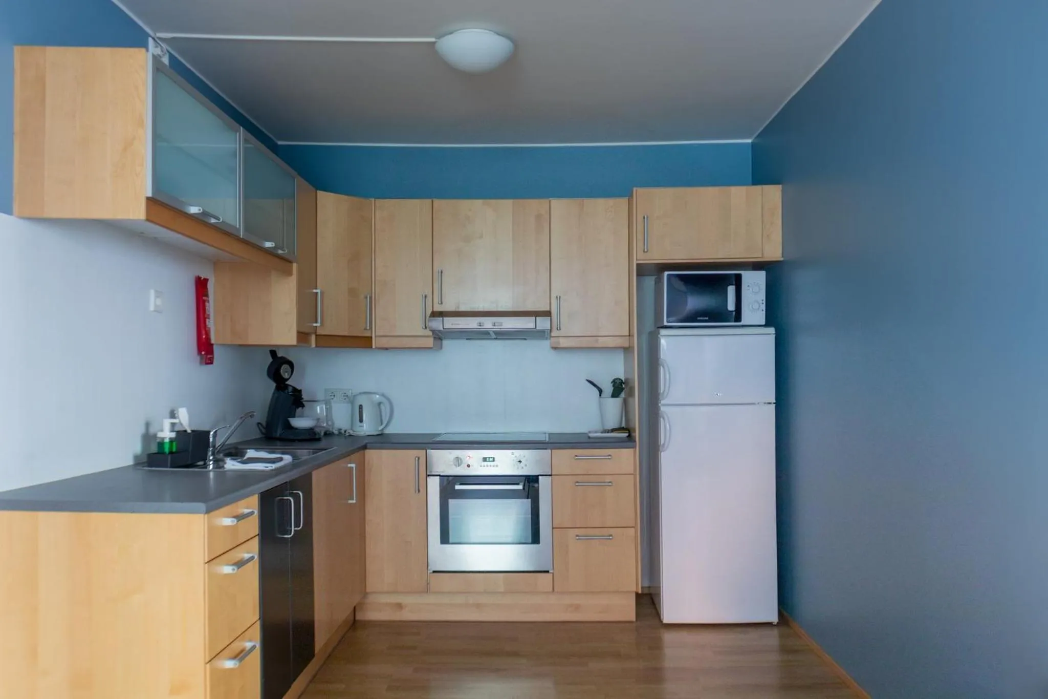Kitchen or kitchenette in Hildibrand Apartment Hotel