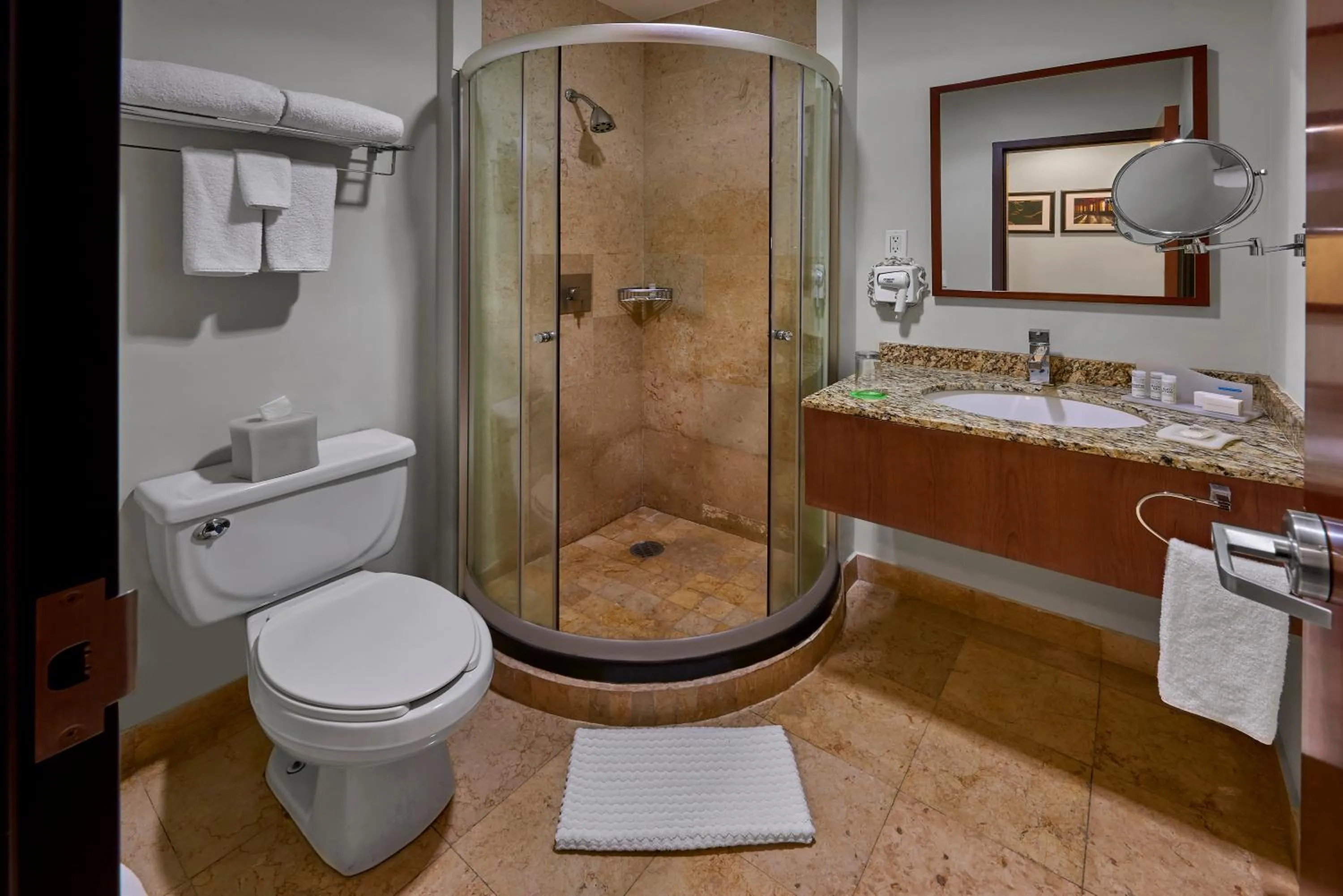 Shower in Wyndham Garden Mexico Reforma