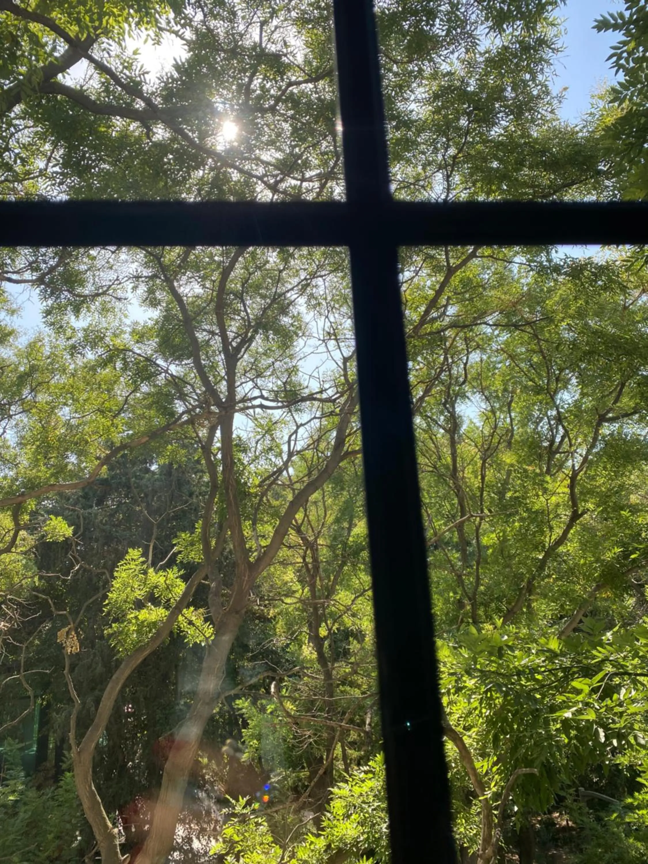 View (from property/room) in Molokan Inn Hotel