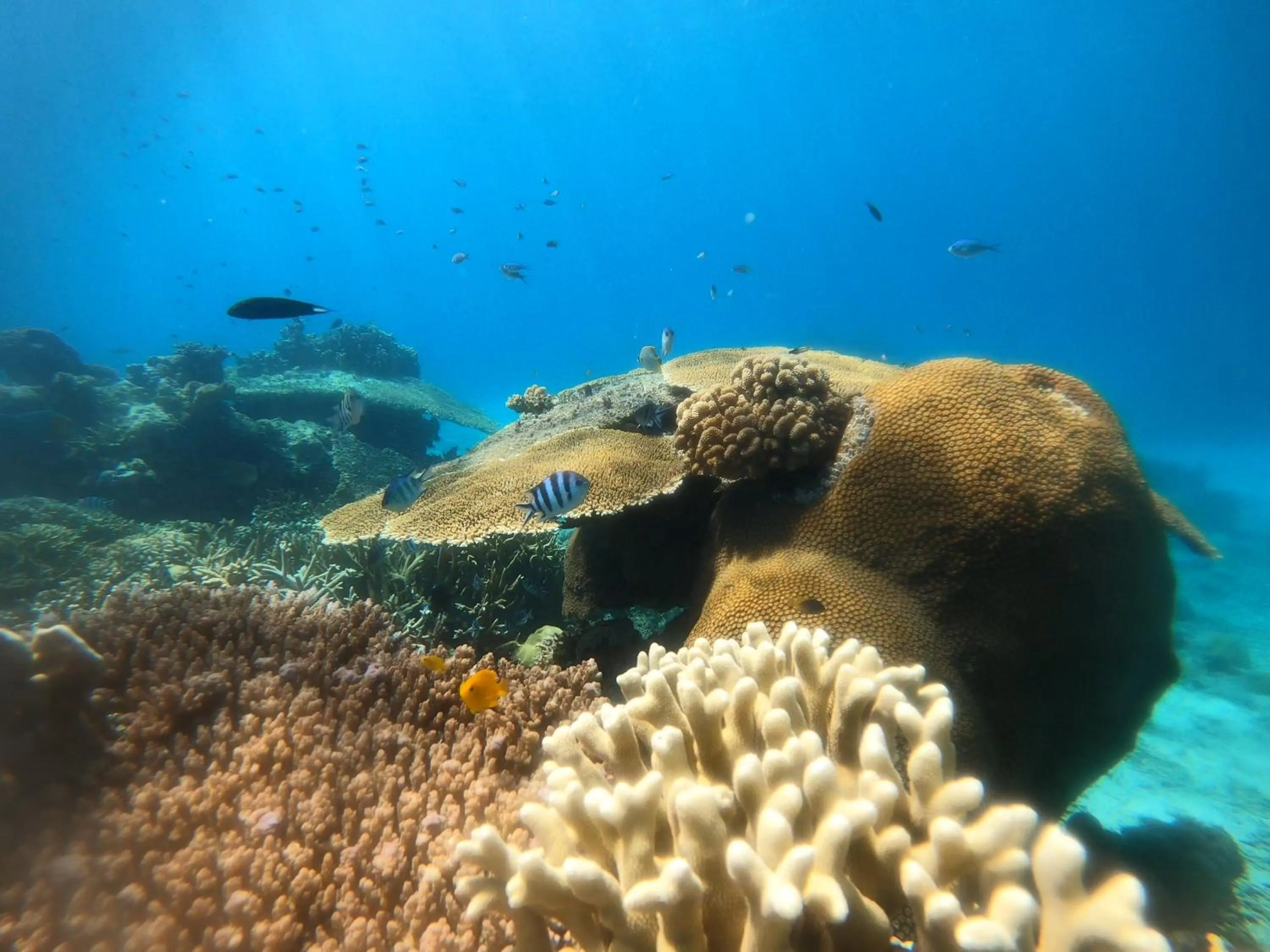 Natural landscape in Natuna Dive Resort