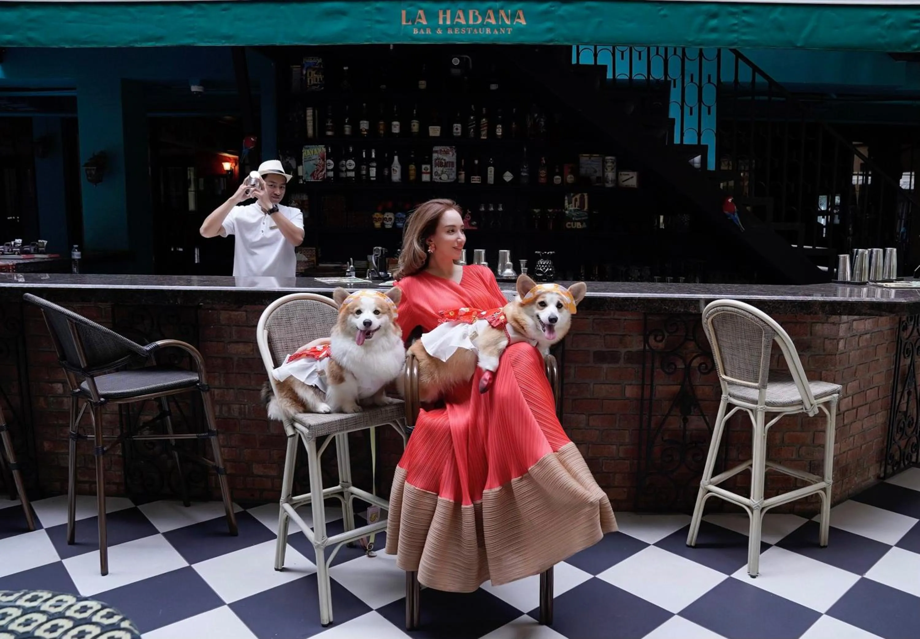 Pets in The Quba Boutique Hotel Pattaya