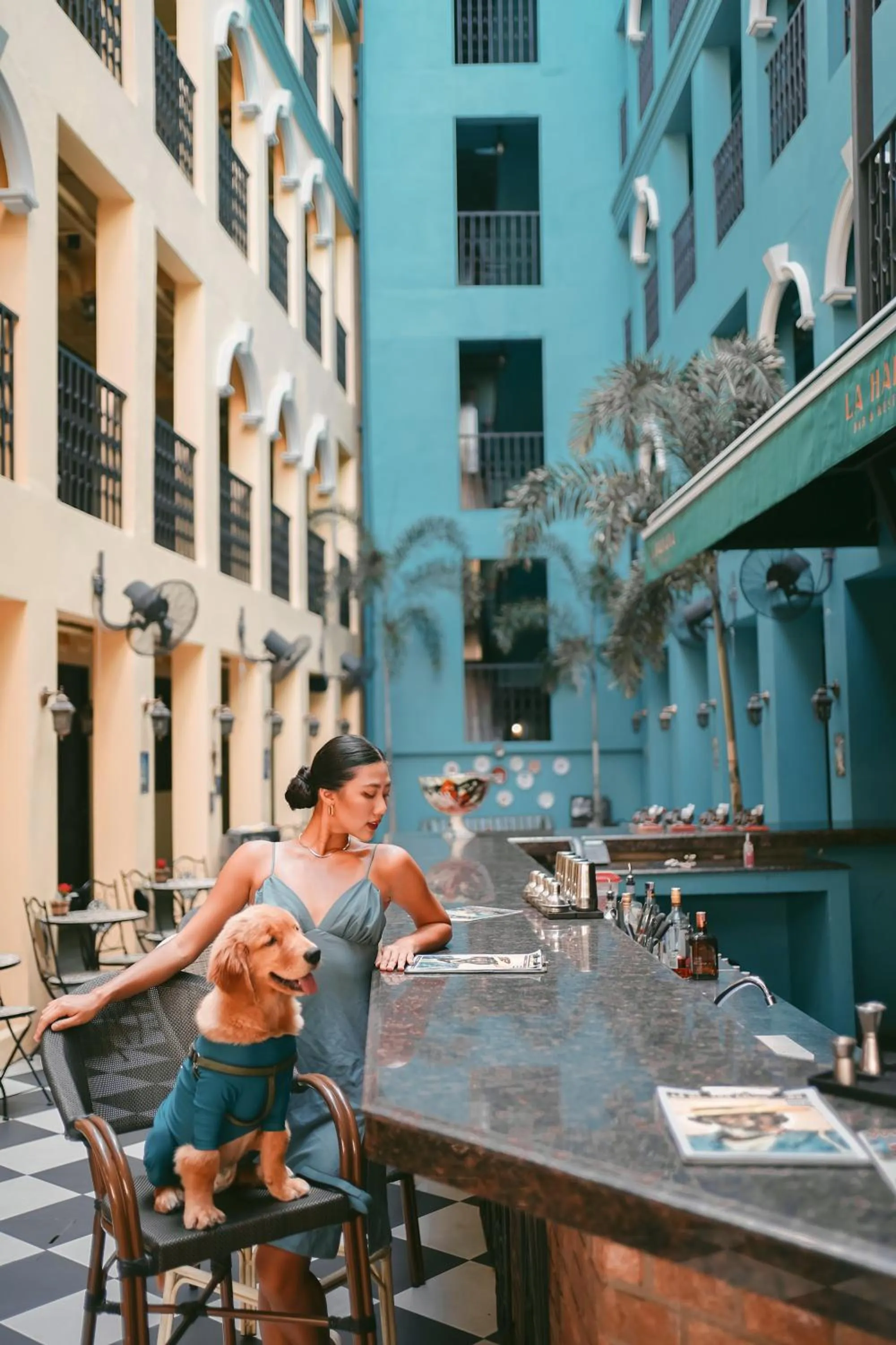 Pets in The Quba Boutique Hotel Pattaya