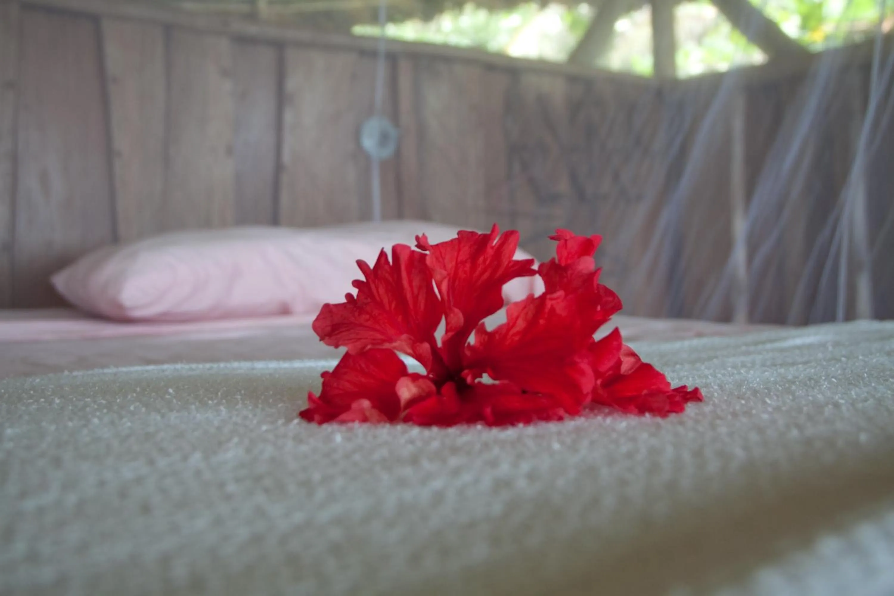 Decorative detail, Bed in Al Natural Resort