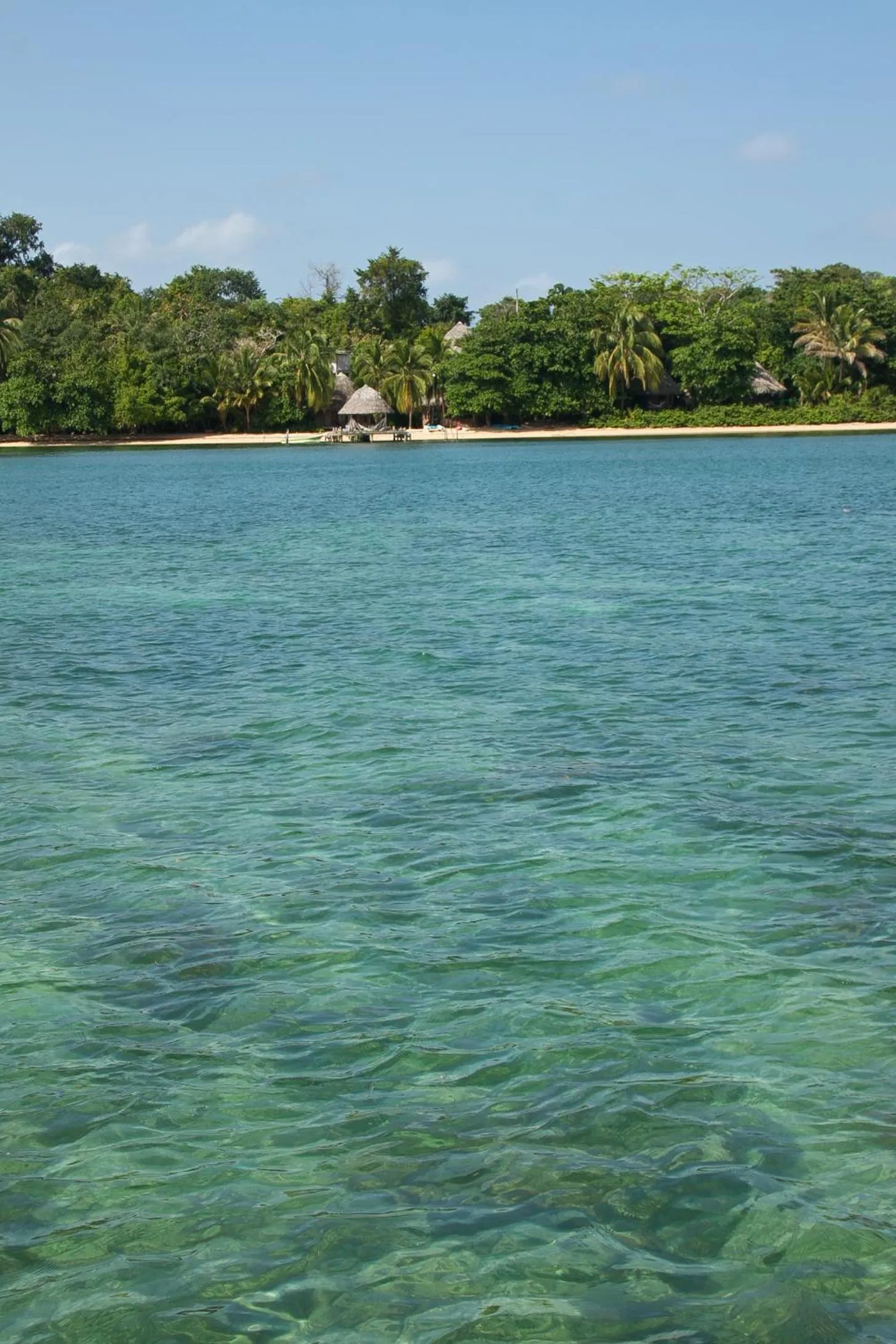 Beach in Al Natural Resort