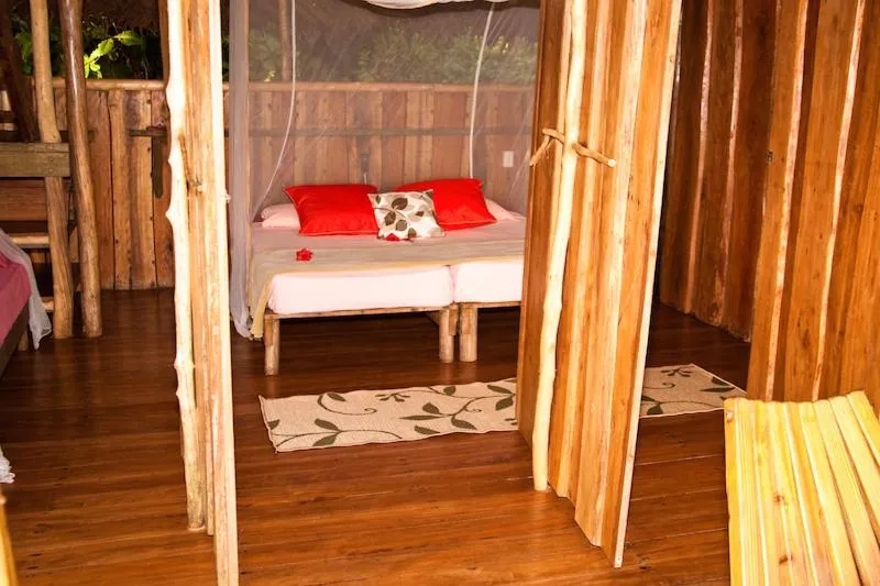 Photo of the whole room in Al Natural Resort