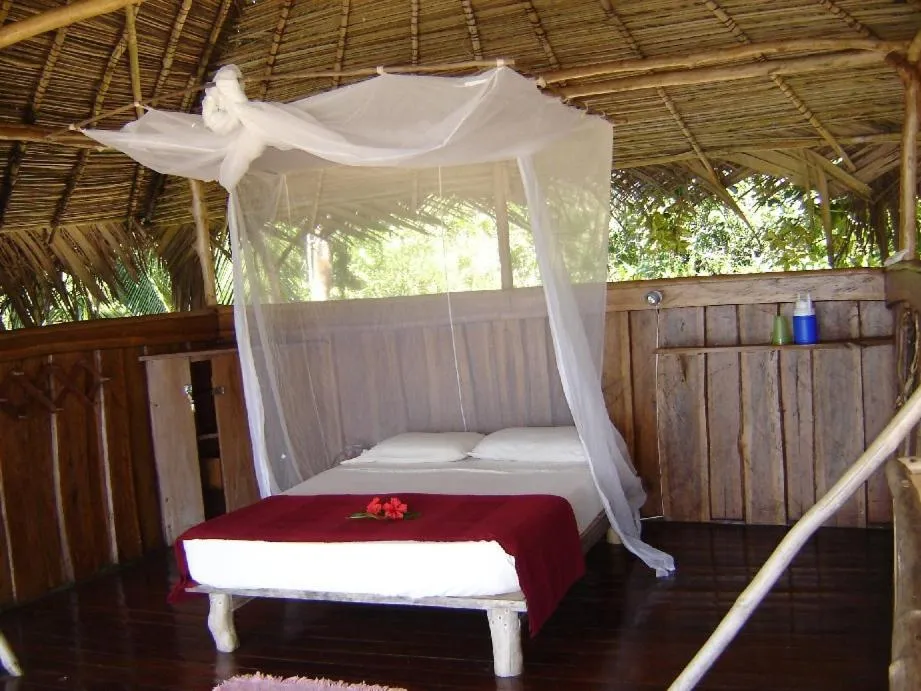 Photo of the whole room, Bed in Al Natural Resort