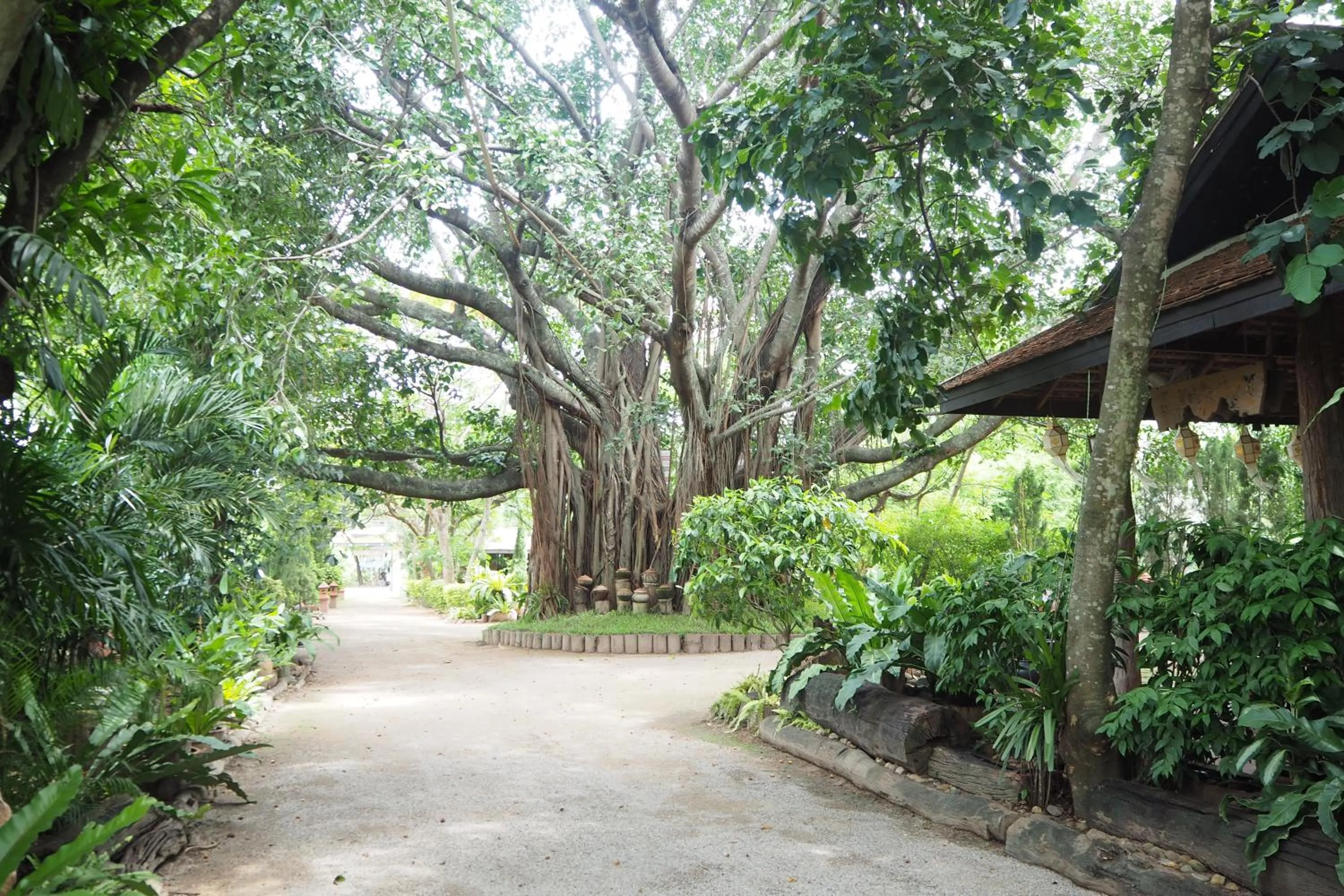 Garden in Khum Khun Wang Resort