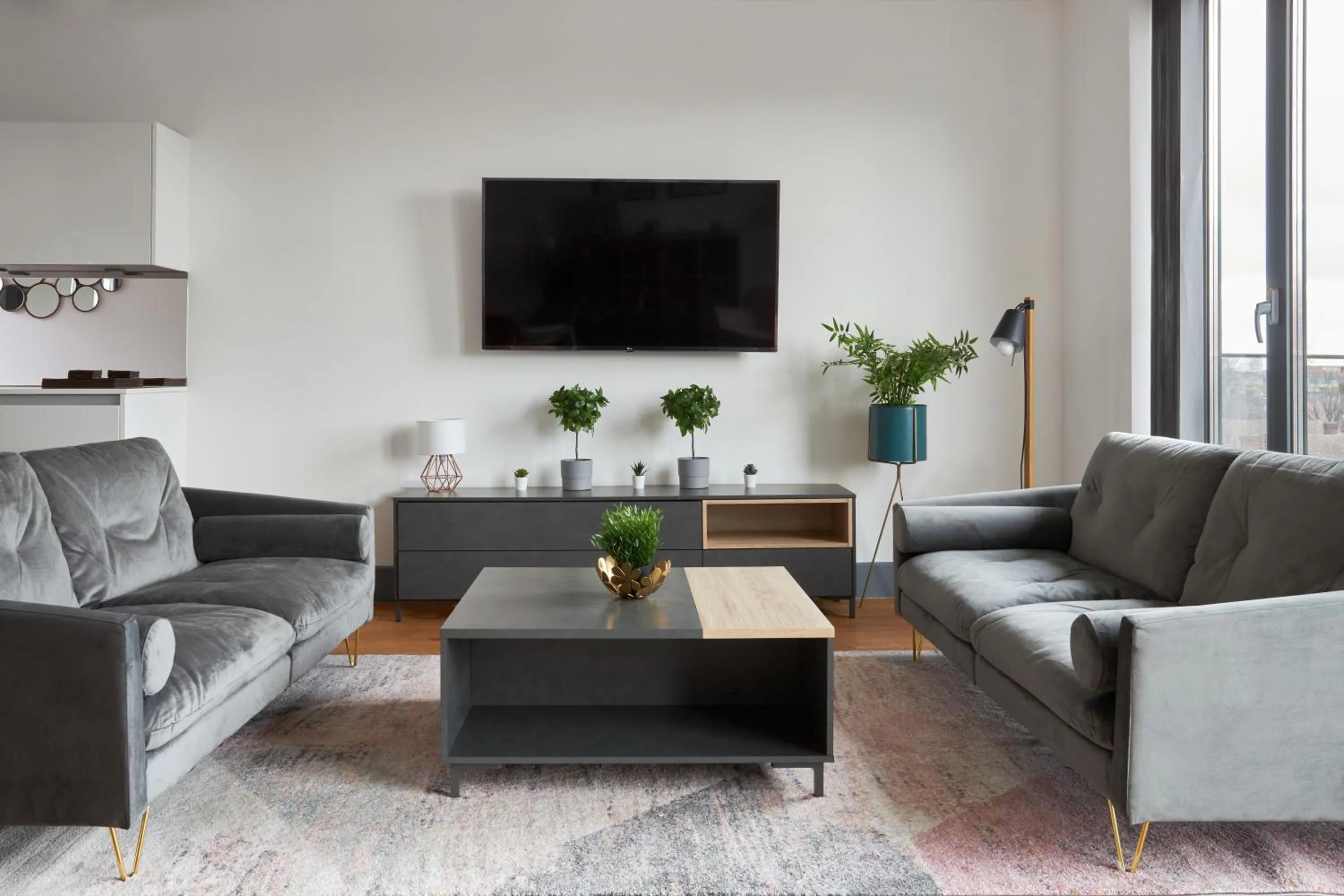 TV and multimedia in Canning Town by Viridian Apartments