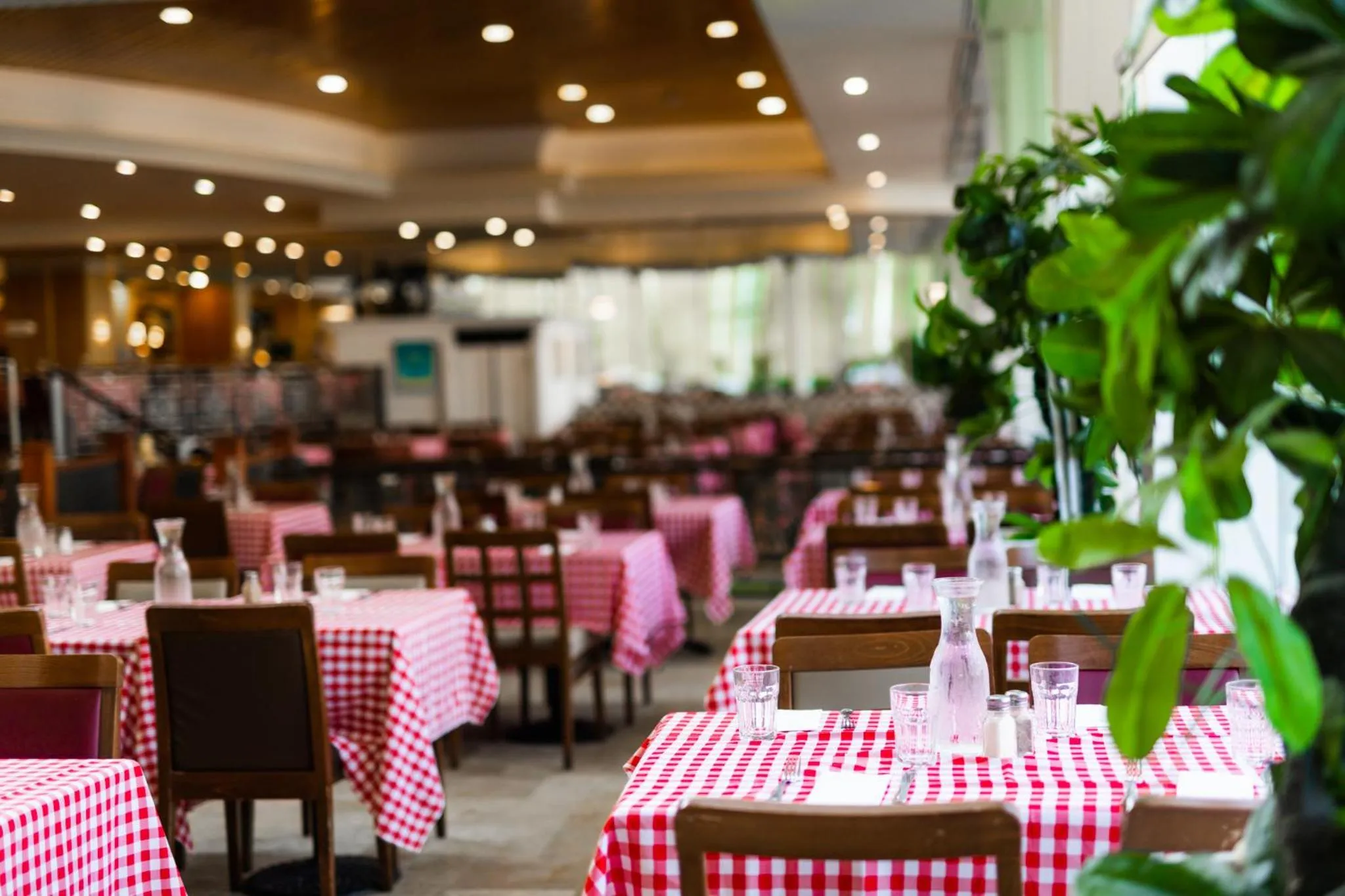 Restaurant/places to eat in David Dead Sea Resort & Spa