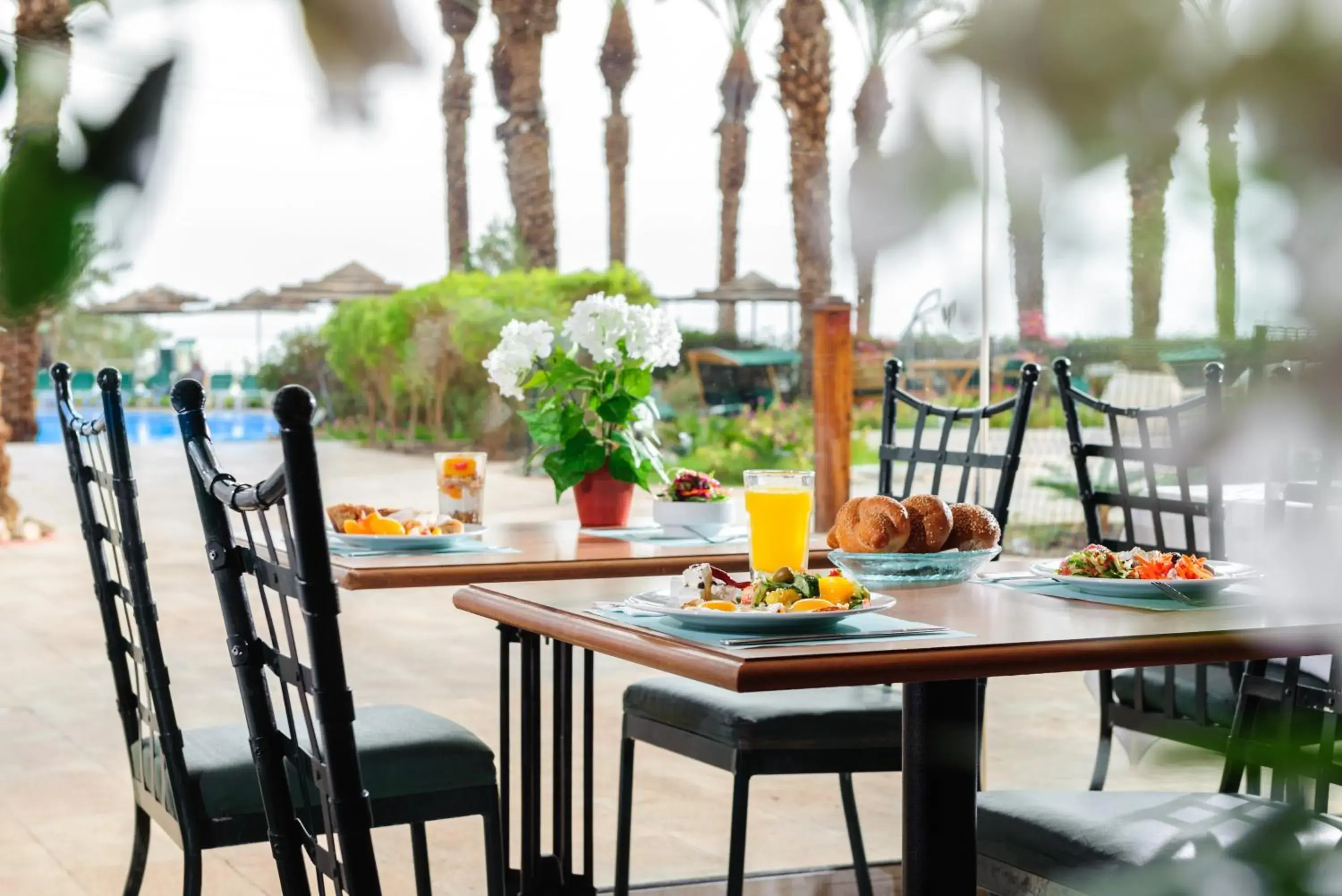 Food close-up in David Dead Sea Resort & Spa Food close-up in David Dead Sea Resort & Spa