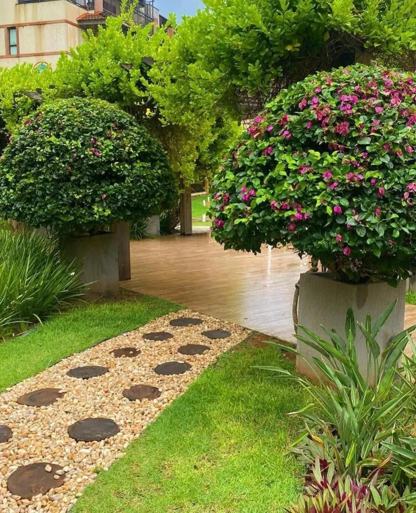 Garden in Manhattan Beach Riviera