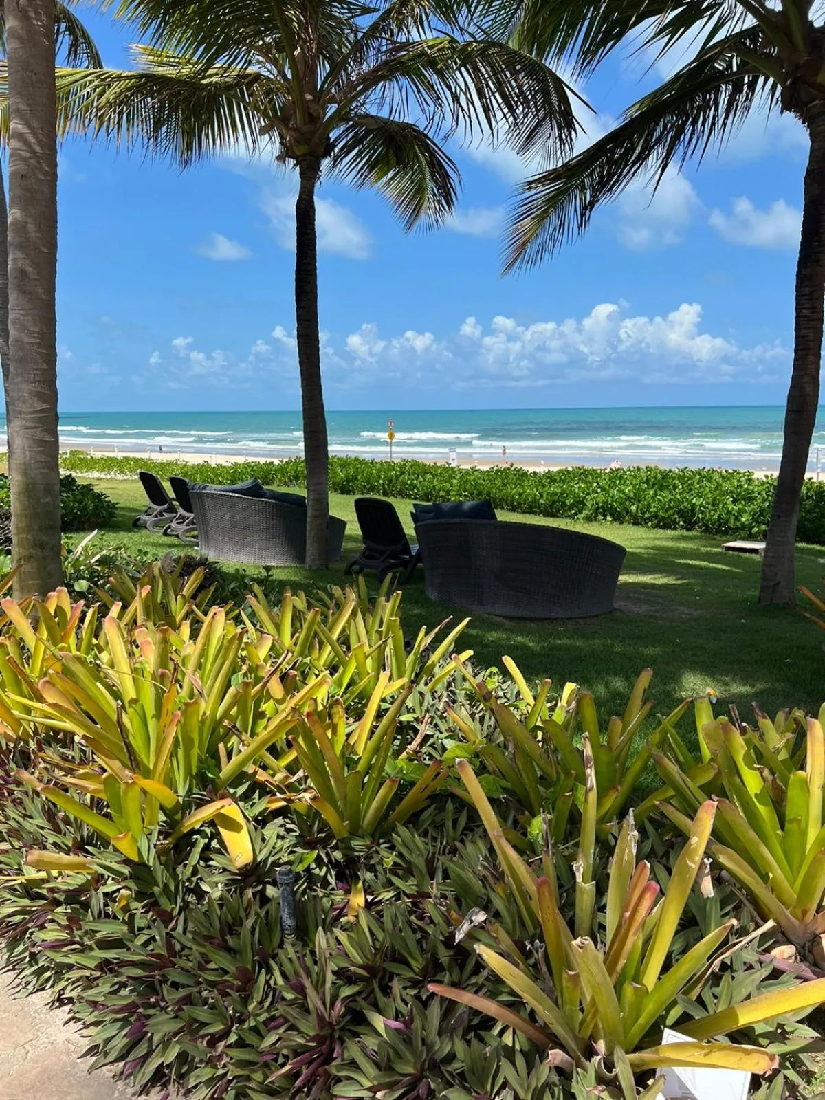 Natural landscape in Manhattan Beach Riviera