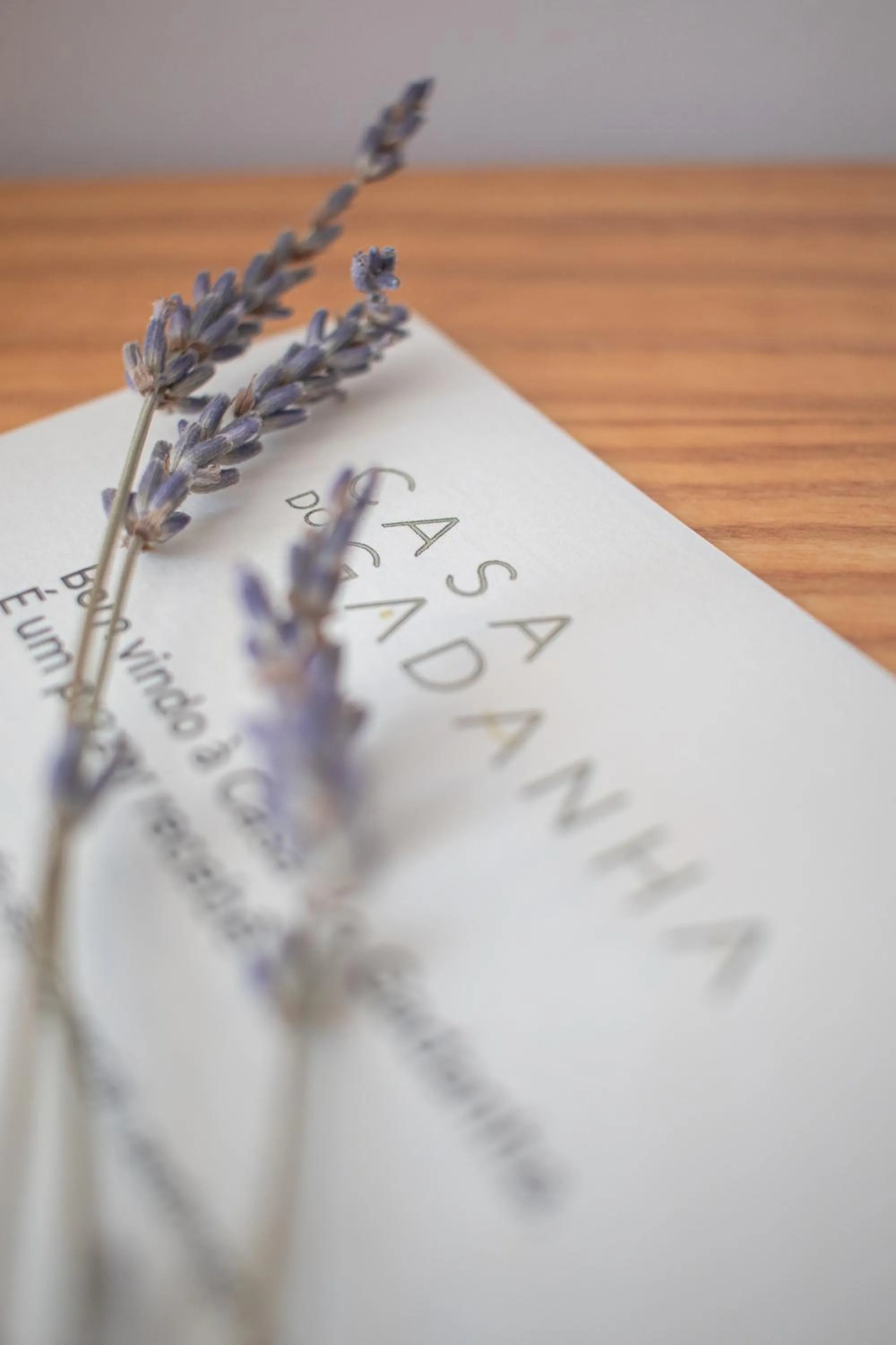 Property logo or sign in Casa do Gadanha