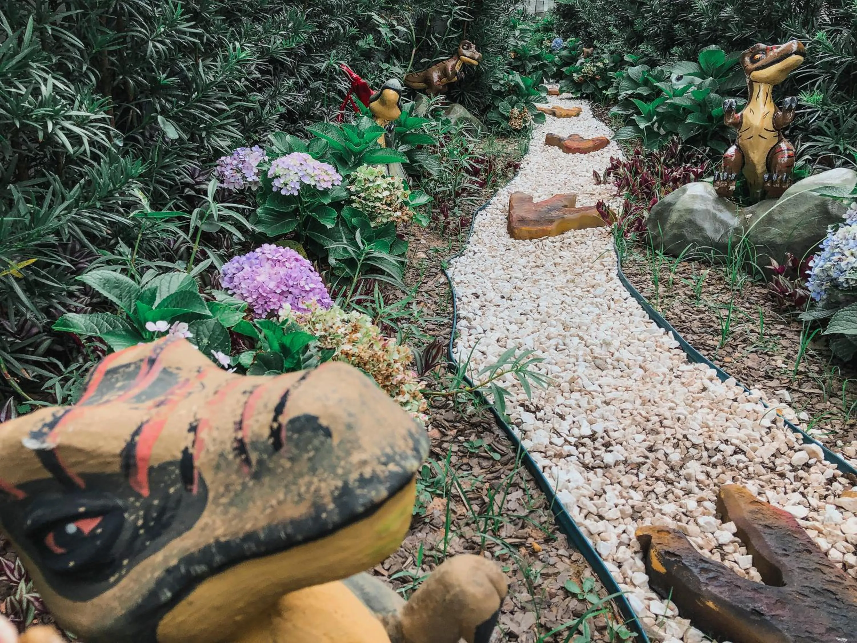 Natural landscape in Hotel Recanto dos Dinossauros