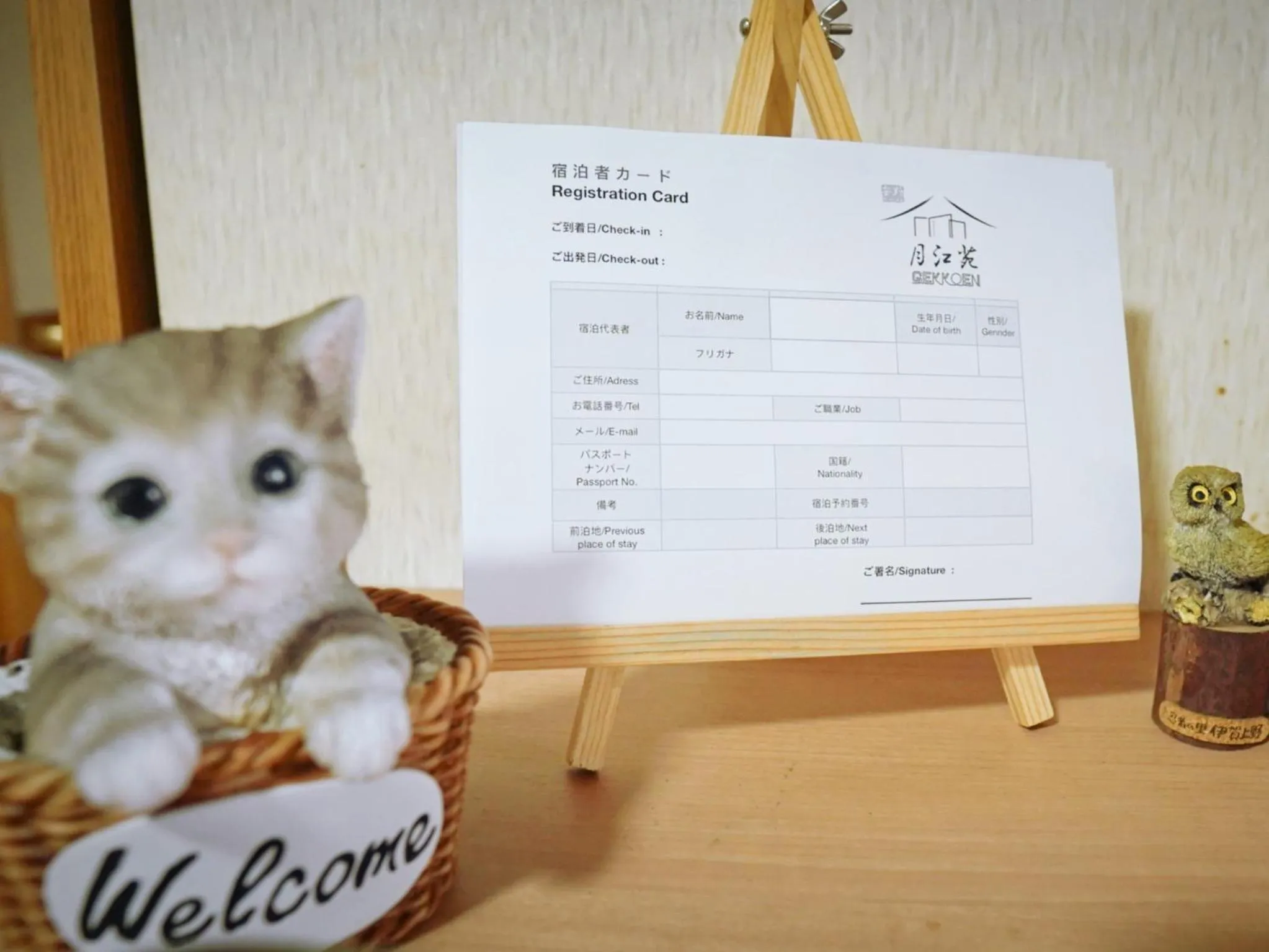 Moon River Court - Vacation STAY 19871v