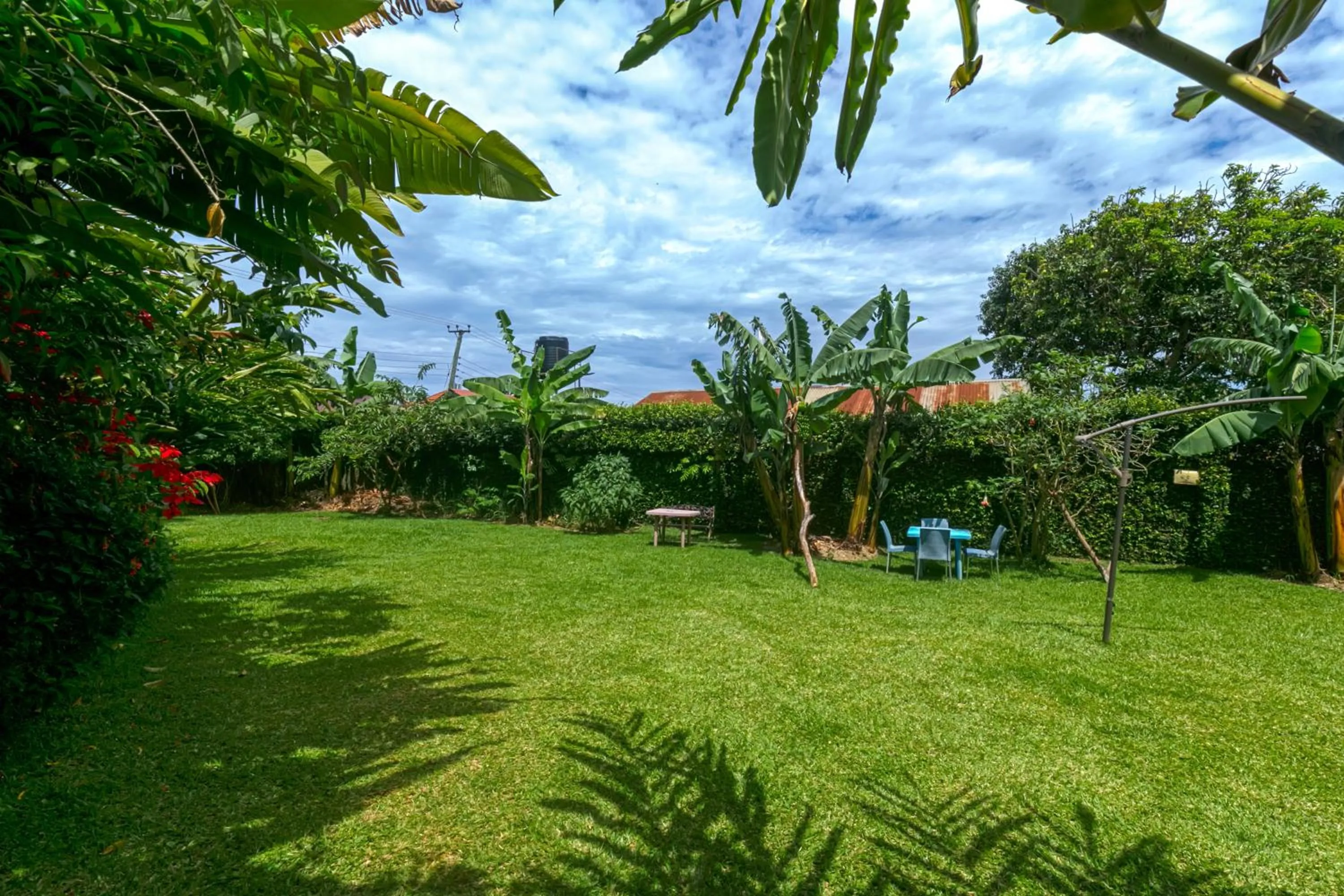 Garden view in Dream jet suites