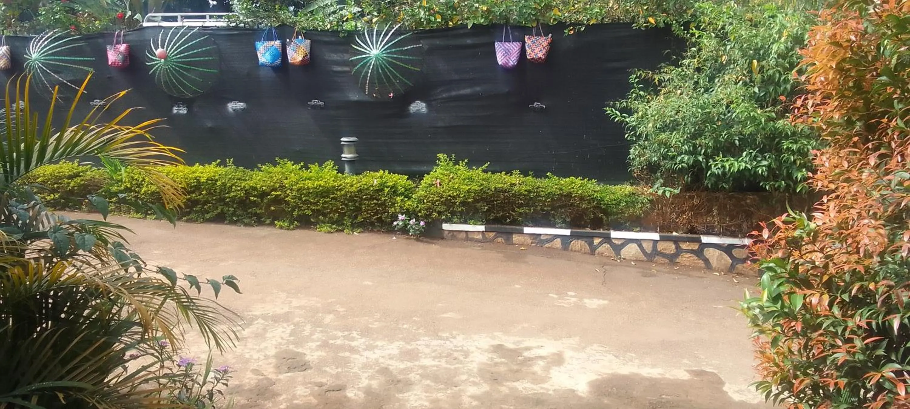 Garden in Dream jet suites