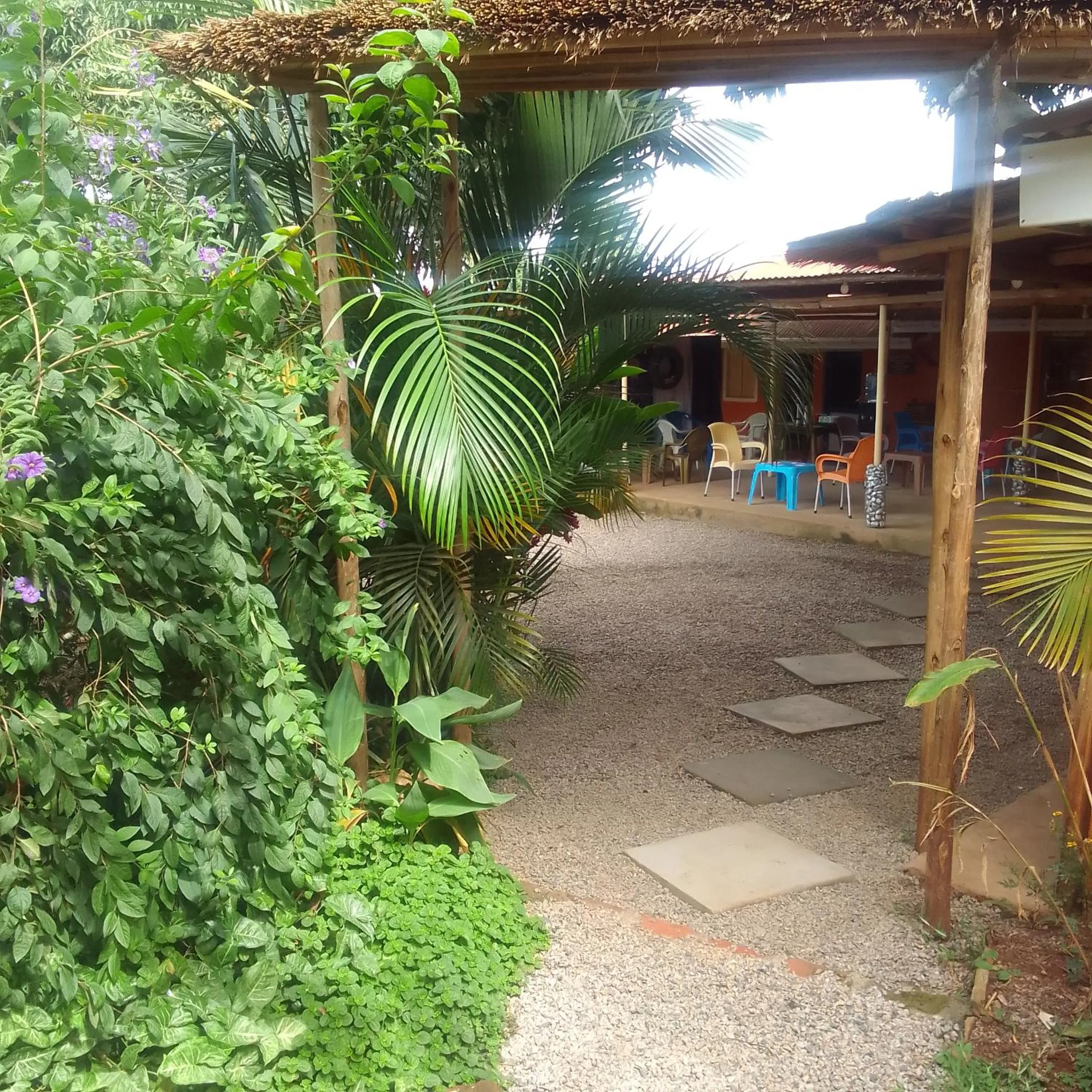 Restaurant/places to eat in Dream jet suites