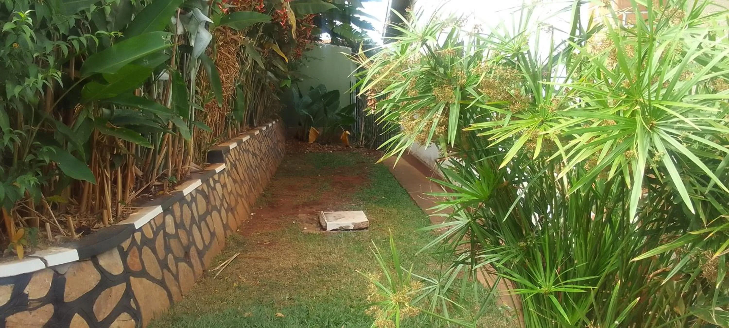 Garden view in Dream jet suites