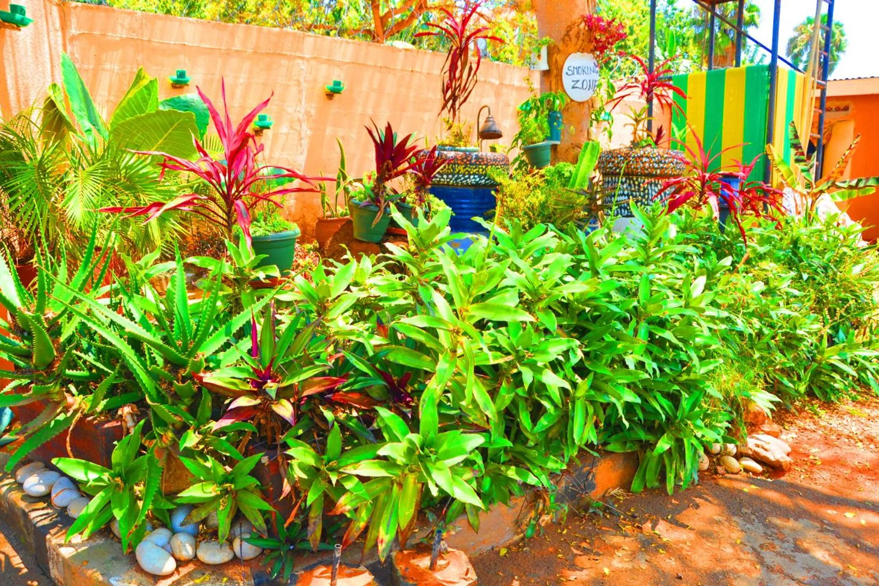 Garden in Dream jet suites