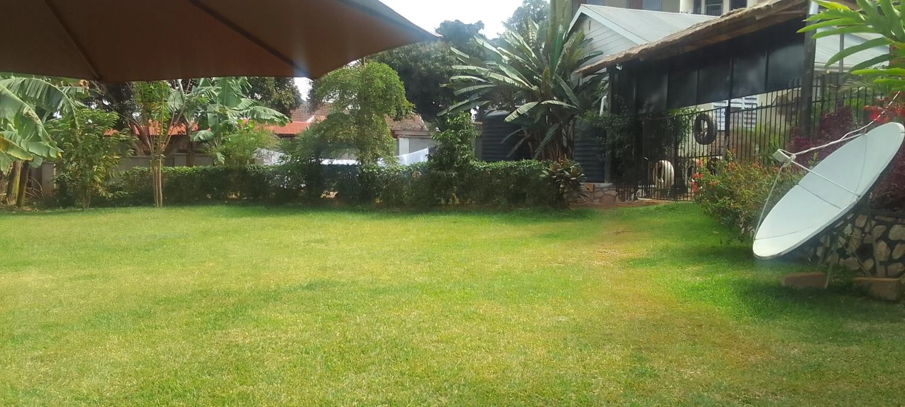 Garden in Dream jet suites