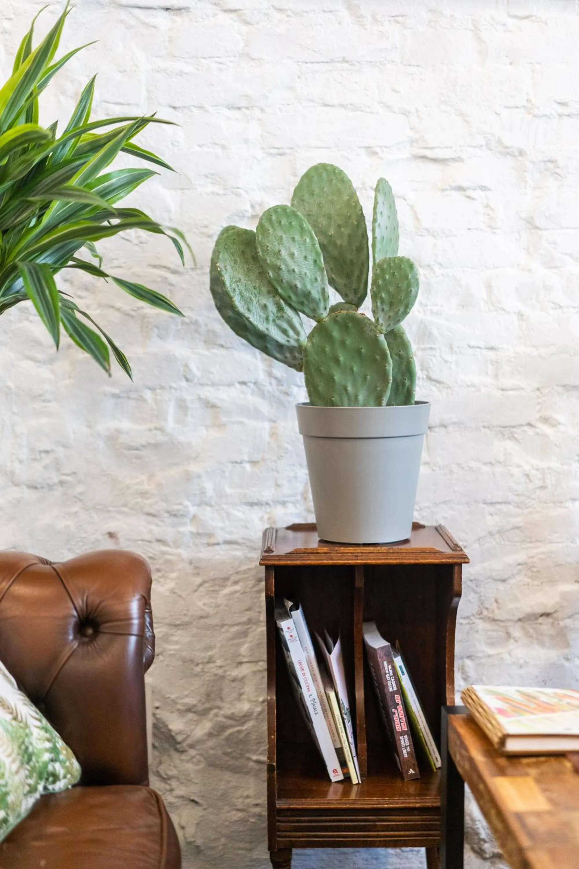 Communal lounge/ TV room in Casa Babbuino
