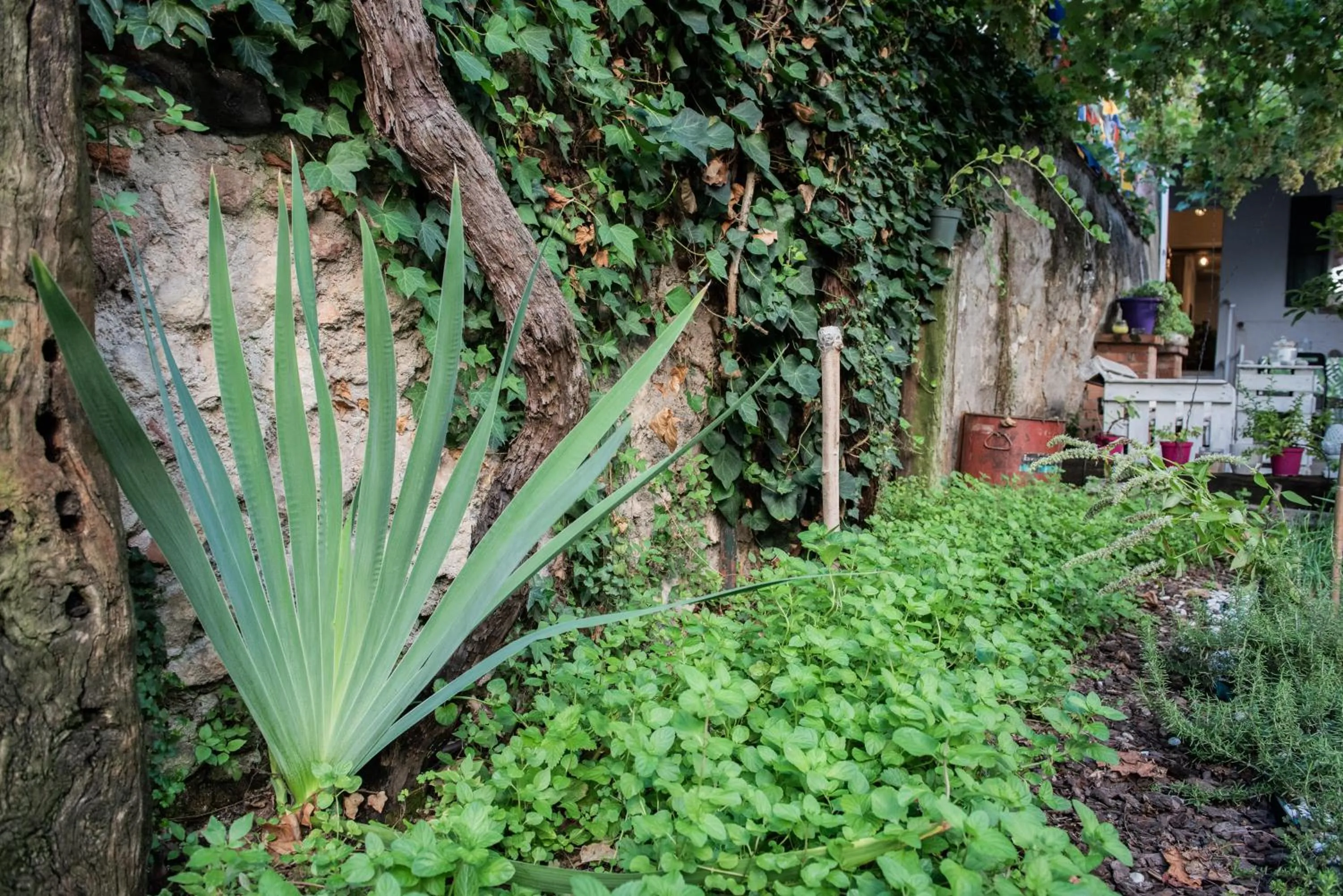 Garden in Casa Babbuino