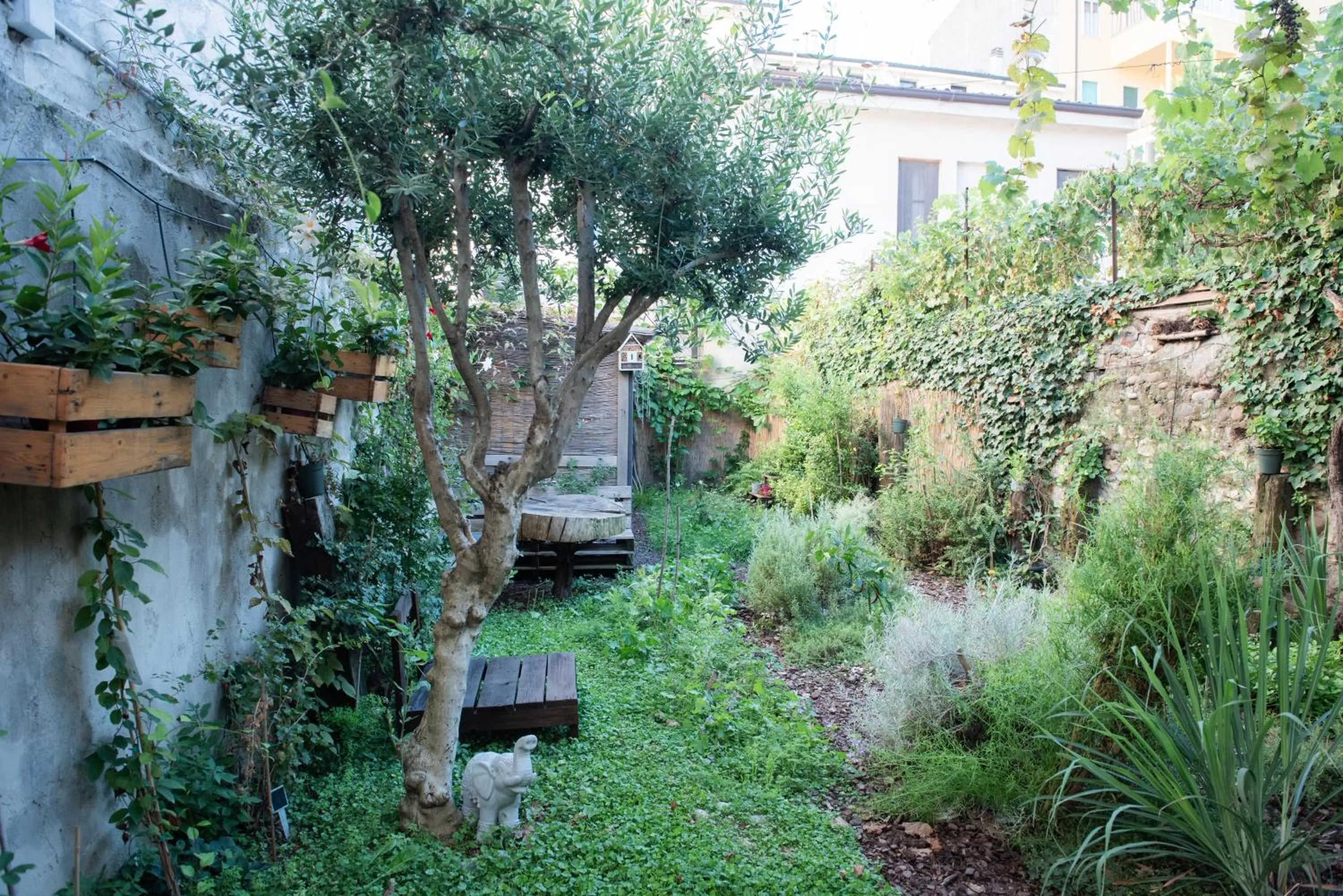 Garden in Casa Babbuino