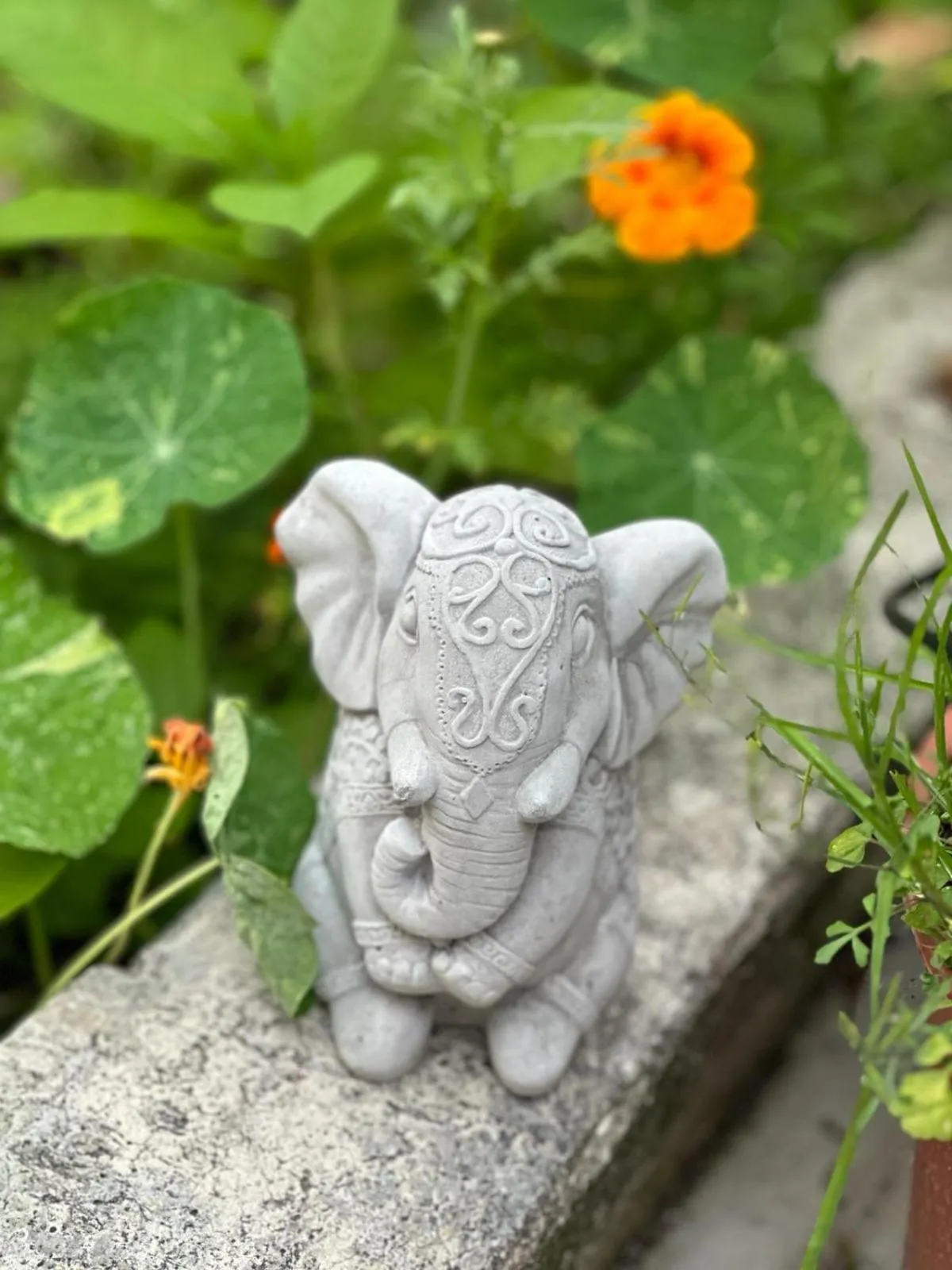 Garden in Casa Babbuino