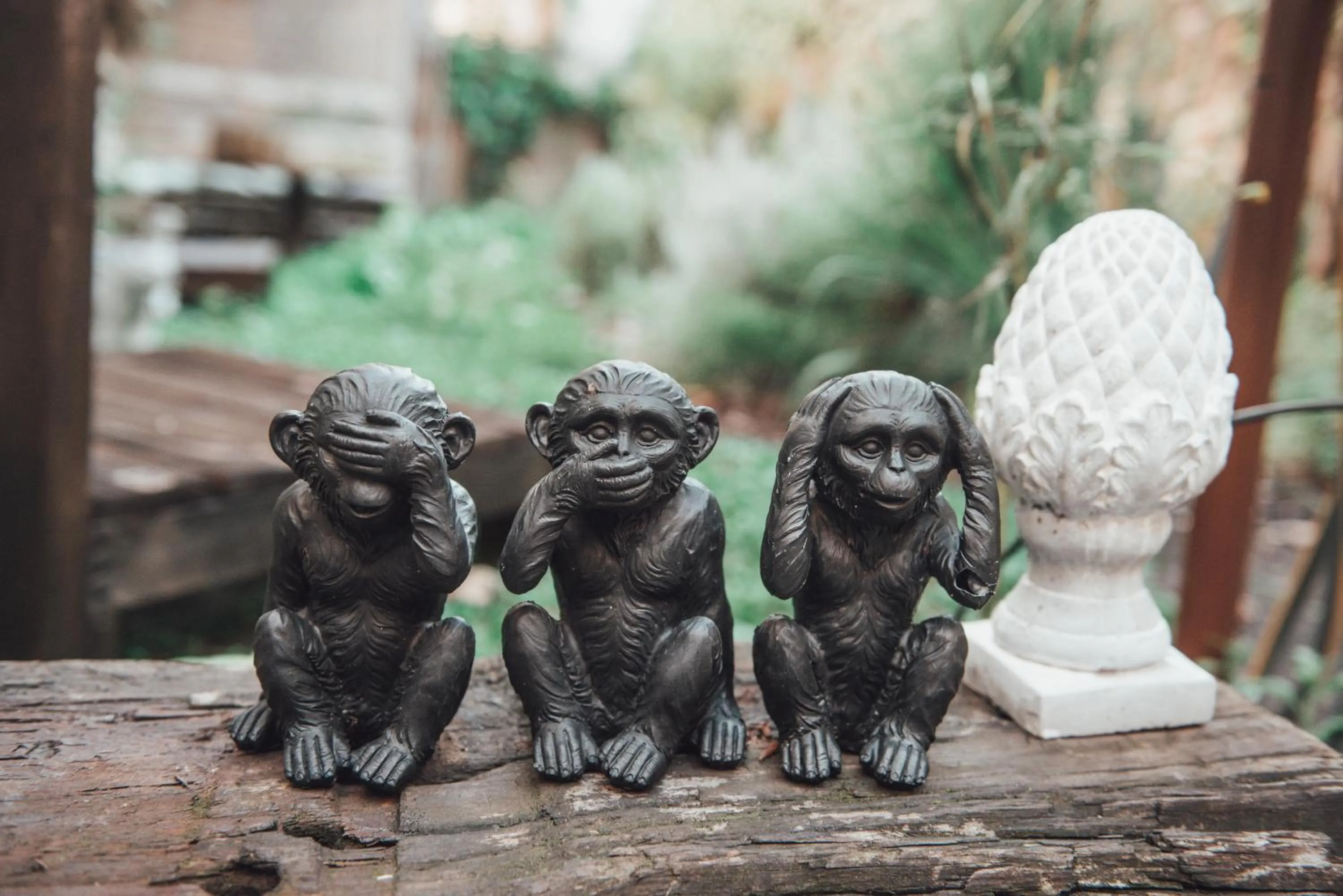 Garden in Casa Babbuino