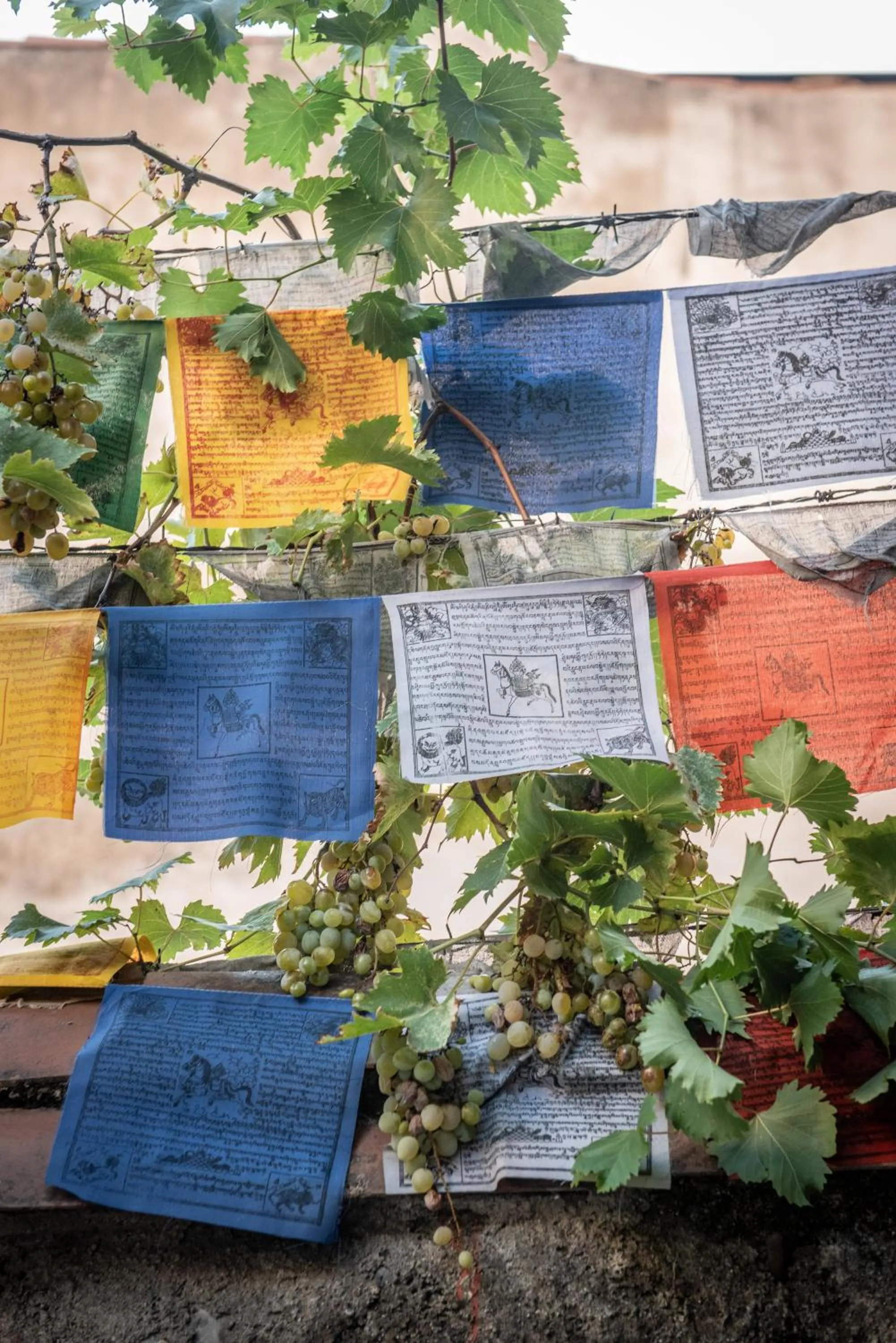 Garden in Casa Babbuino