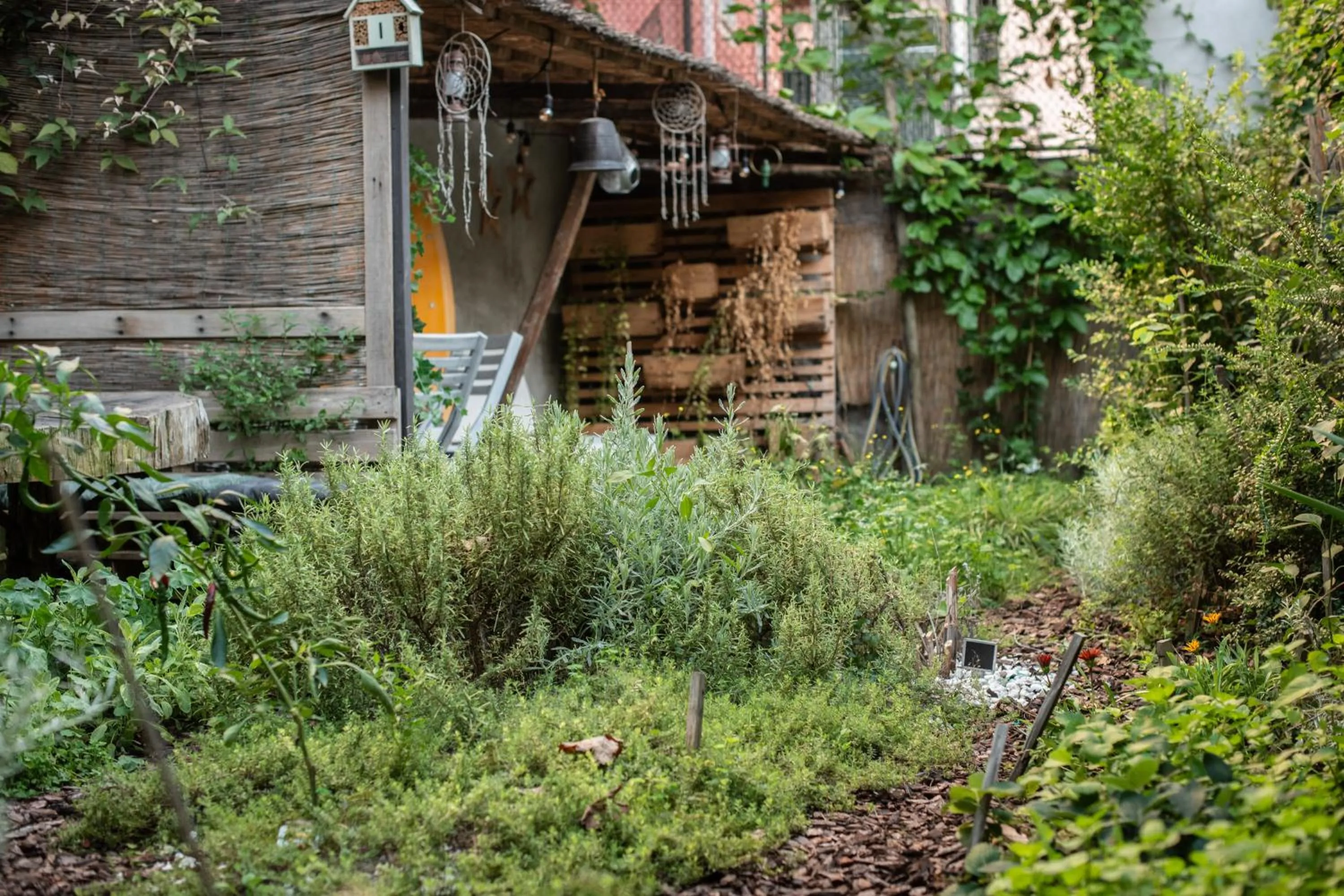 Garden in Casa Babbuino
