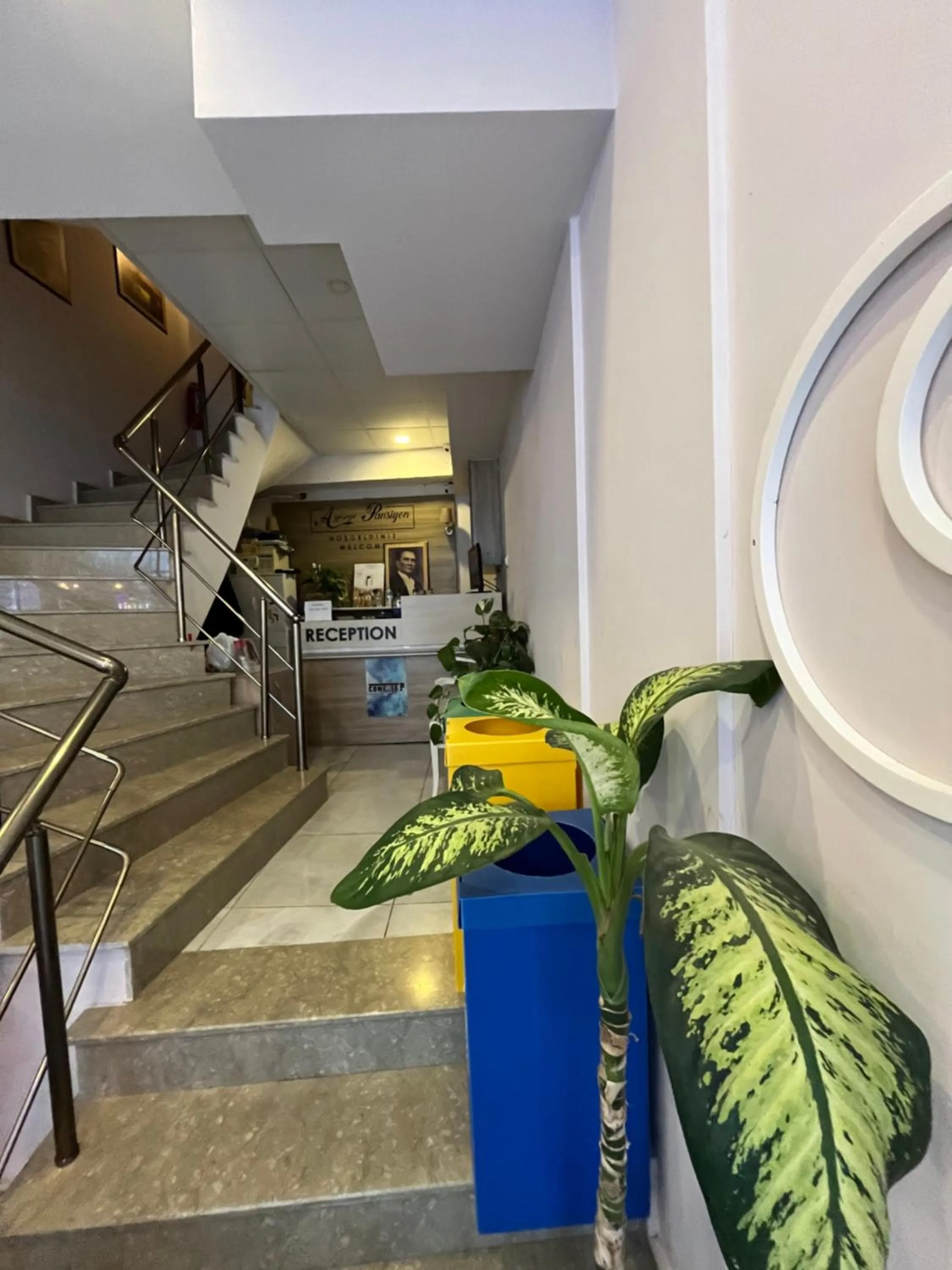 moonlight (AY IŞIĞI )