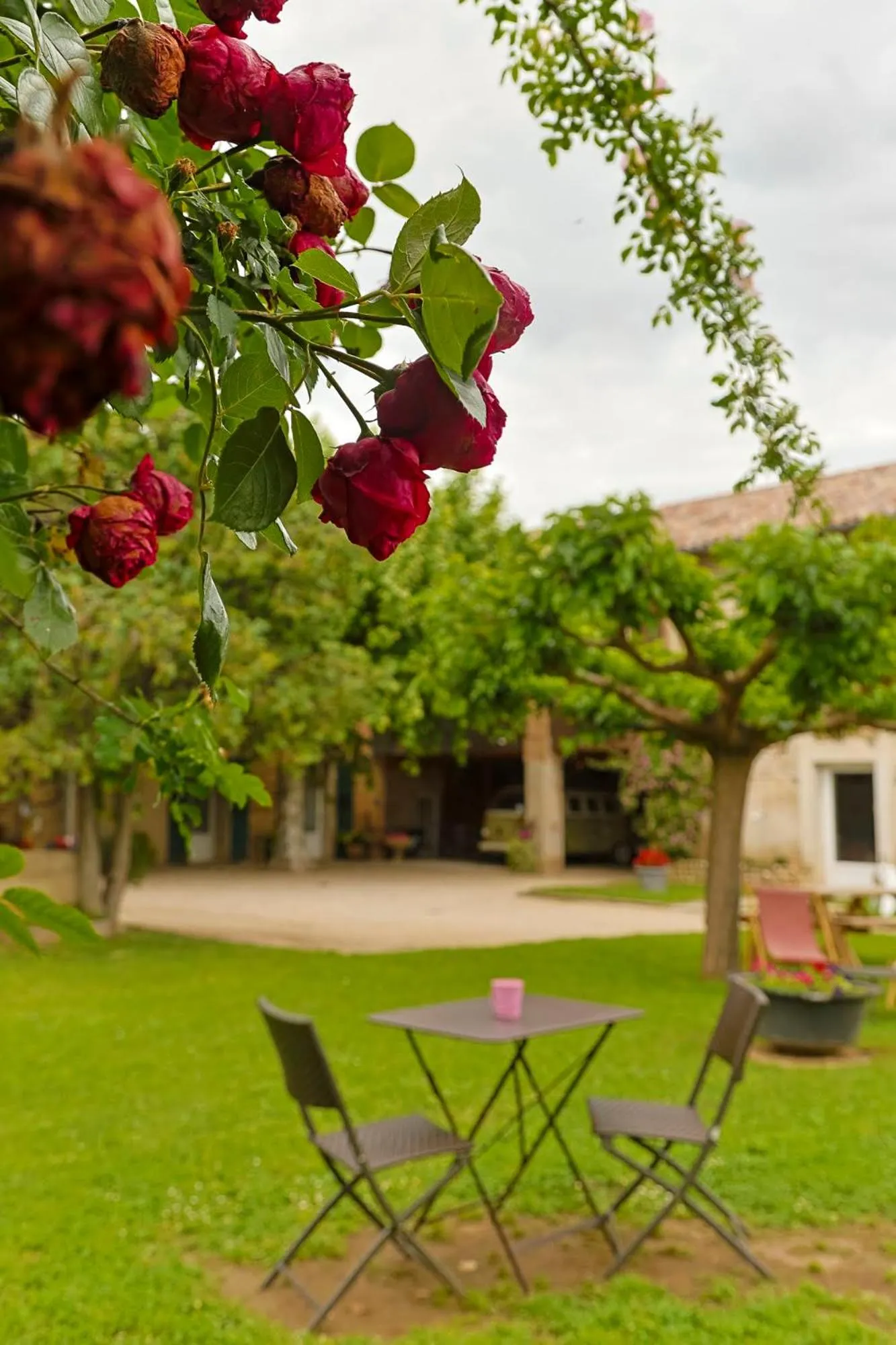 Spring in La Ferme des Denis