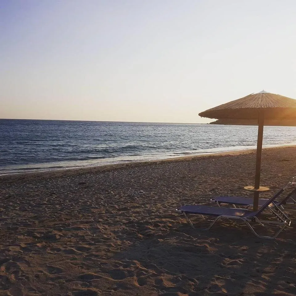 Beach in Ocean Hotel Resort