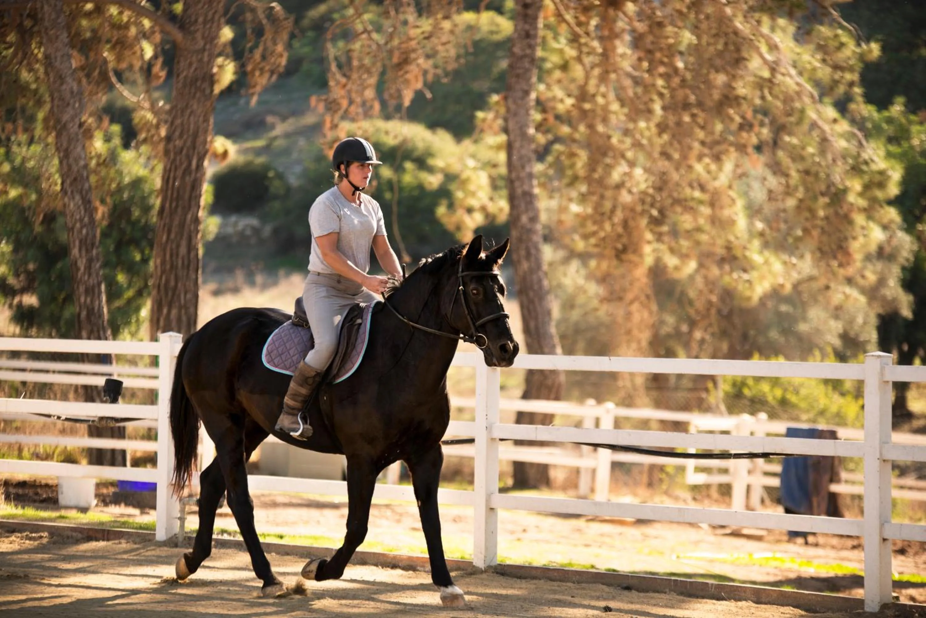 Horse-riding in Aphrodite Hills Rentals - Superior Villas