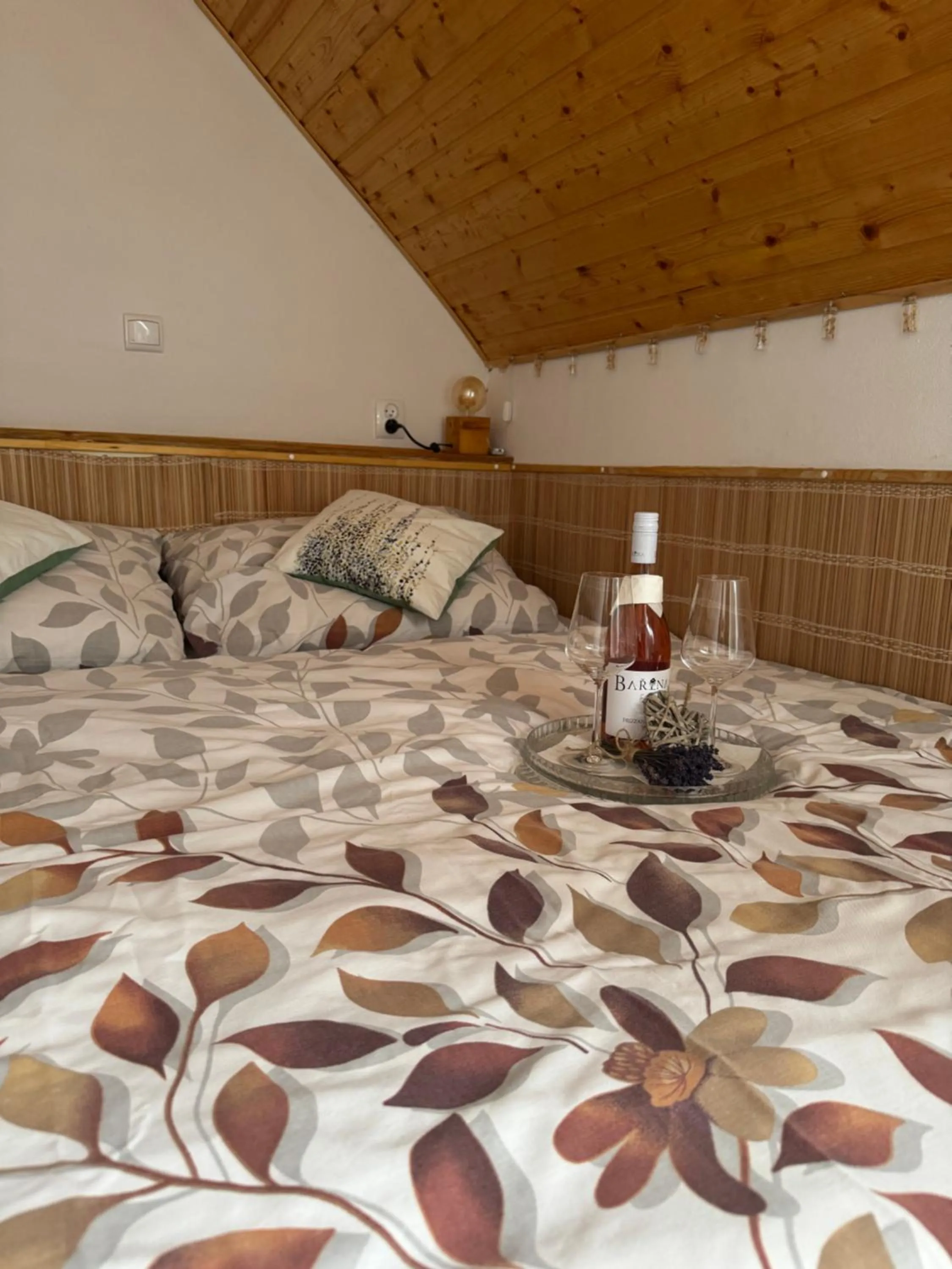 Apartmán u Ještěrky s finskou saunou v ceně