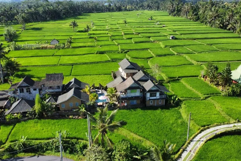 Bird's eye view in Ananda JJ Ubud Resort & Spa